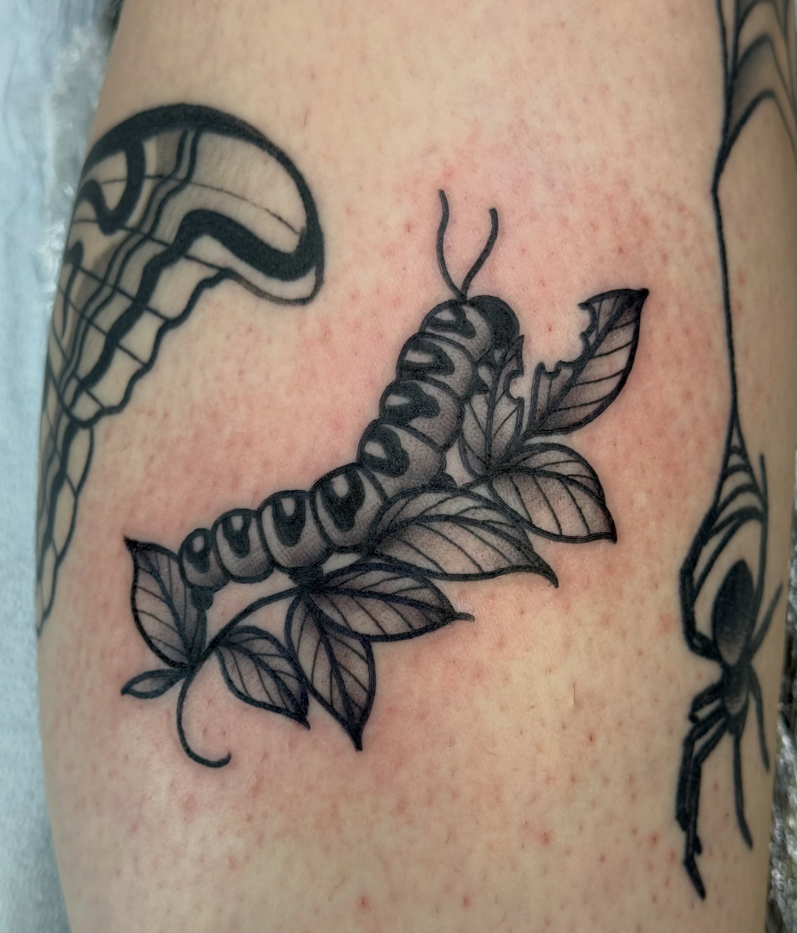 Worm and leaves black and grey tattoo on the forearm by Kelsey Louis, Iowa City, Iowa