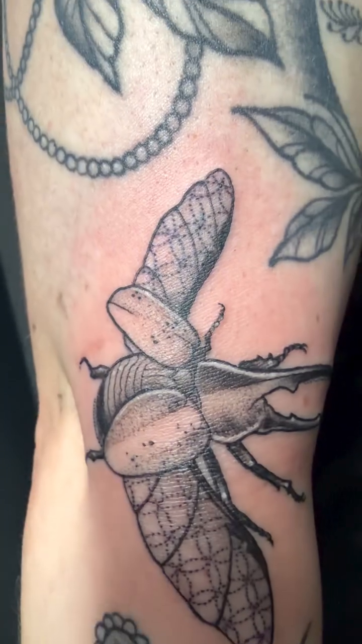 Stag beetle fine line tattoo on the forearm by Emily Parker