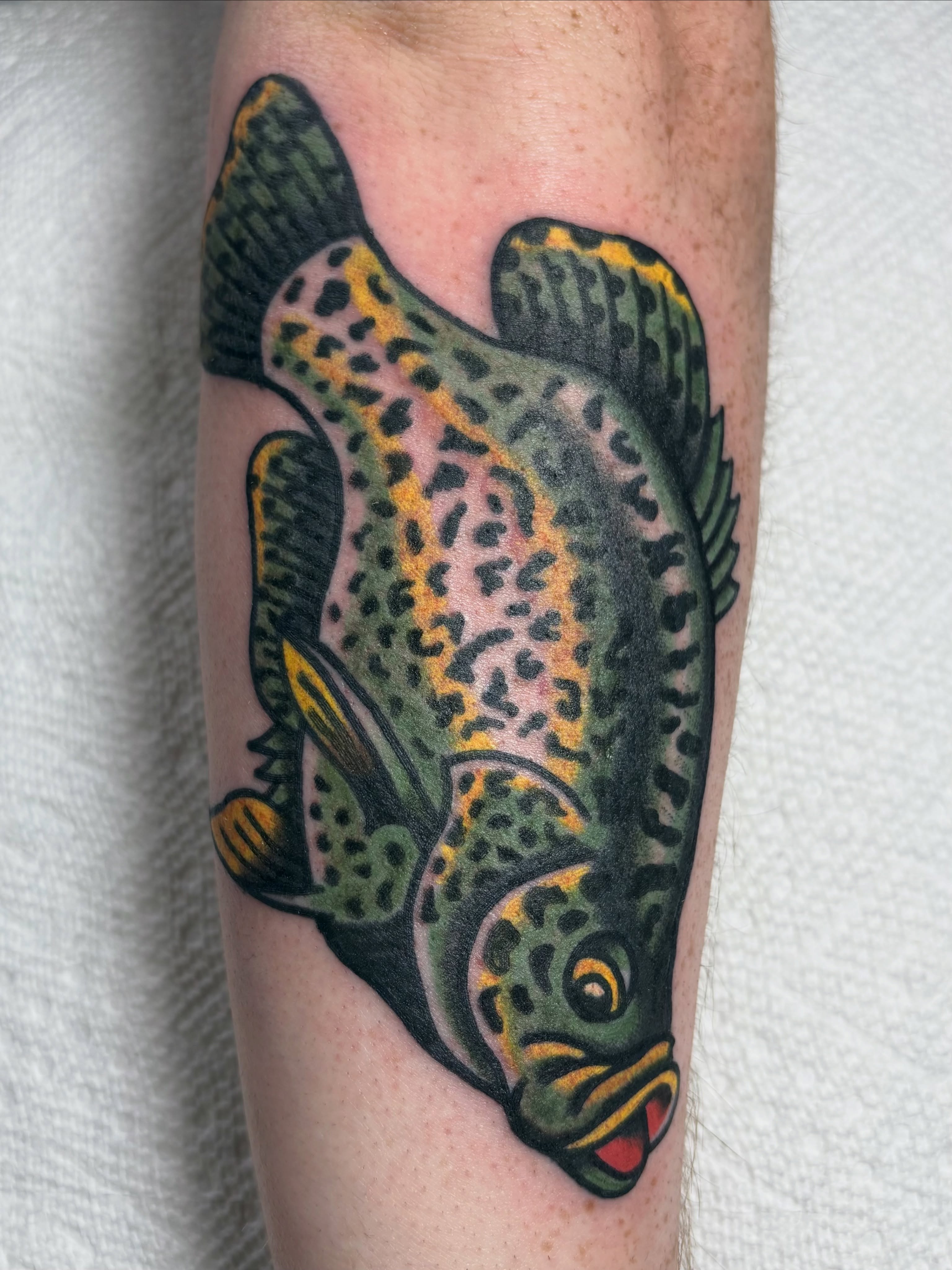 Tattoo by @jaketat2herbert — american_traditional