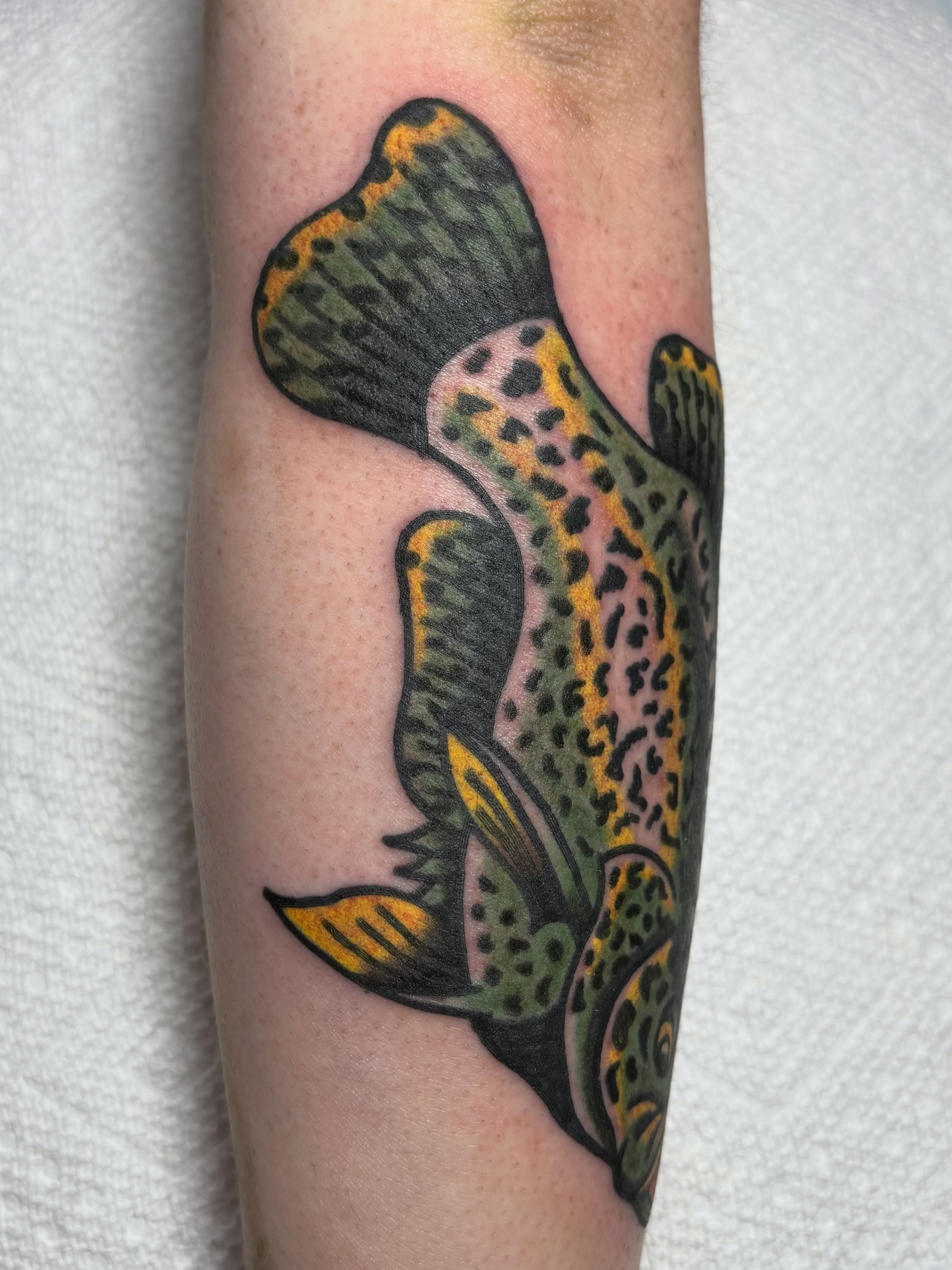 Tattoo by @jaketat2herbert — american_traditional