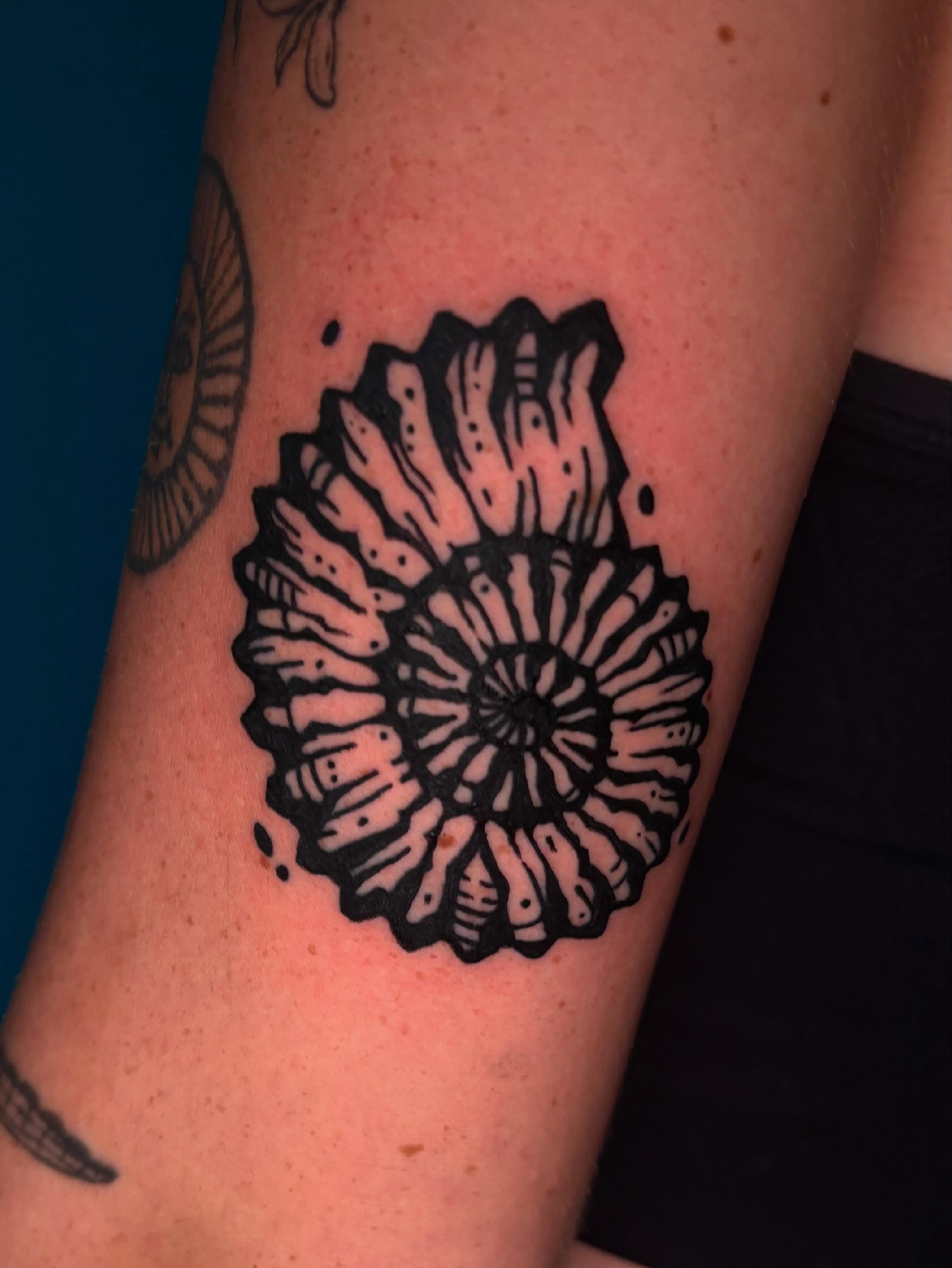 Ammonite fossil black and grey tattoo on the forearm by 𝕵𝖊𝖗𝖊𝖒𝖞 𝕻𝖚𝖗𝖈𝖊𝖑𝖑