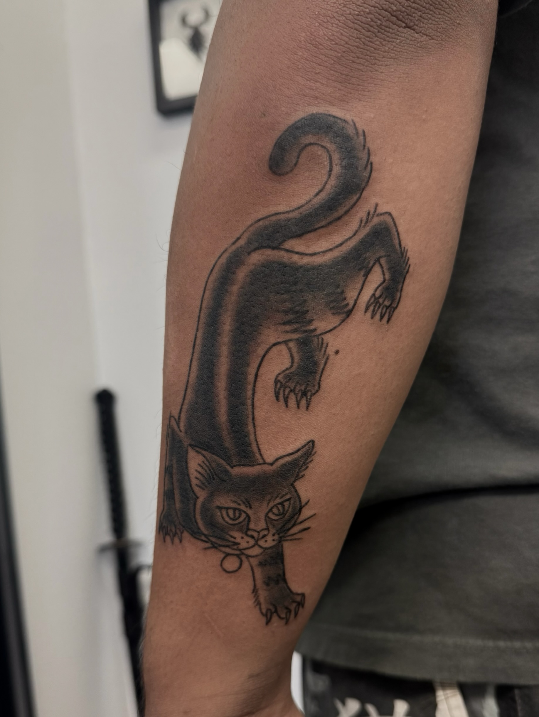 Cat black and grey tattoo on the forearm by Shay - Mandeville Tattoo Artist