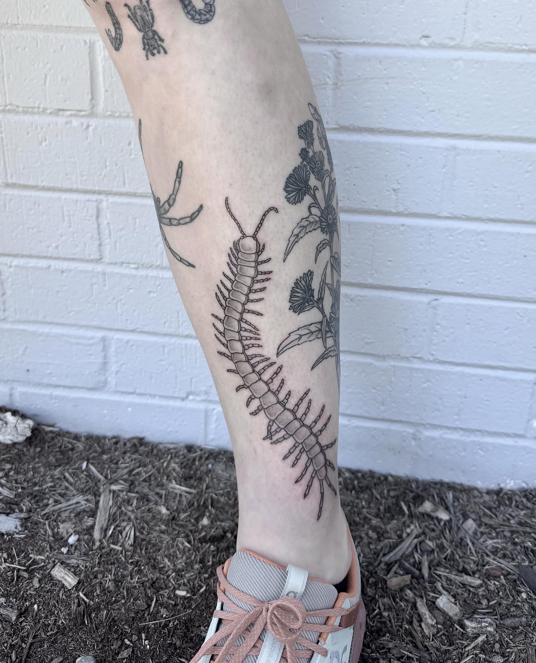 Centipede black and grey tattoo on the calf by Audrey Kacel, Holland, Michigan