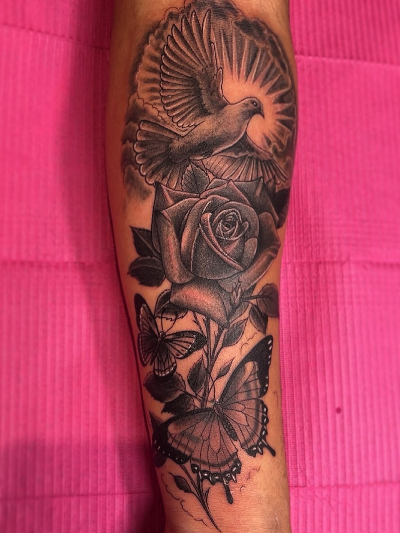 Dove and roses realism tattoo on the forearm by Elle Miller