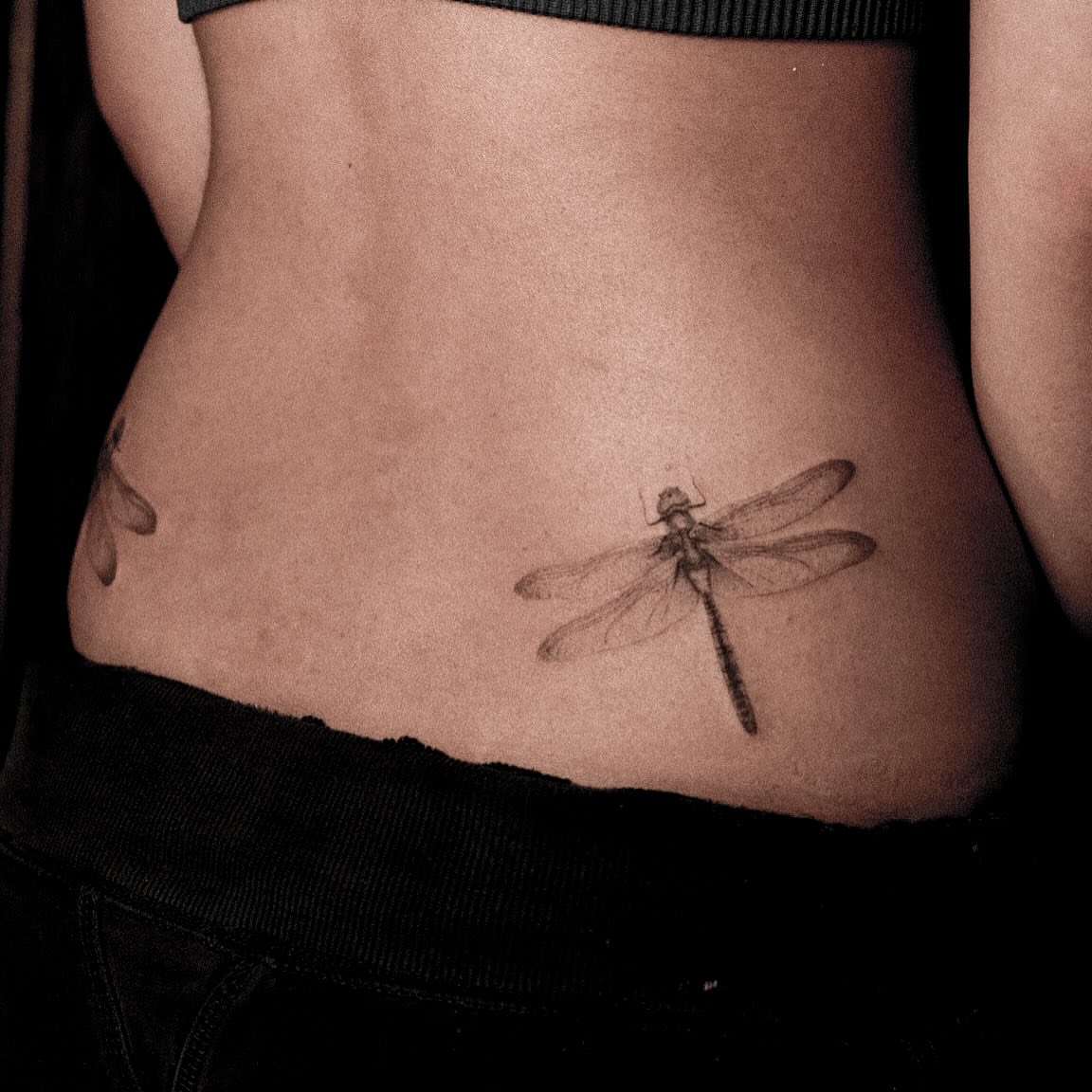 Dragonfly black and grey tattoo on the torso by ๐๐, Tacoma, Washington
