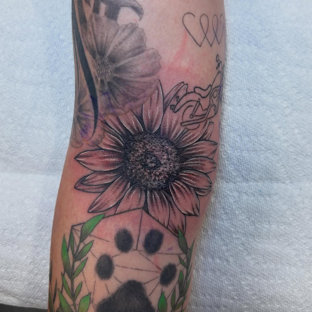 Sunflower and ladybug realism tattoo on the forearm by Zeninkz
