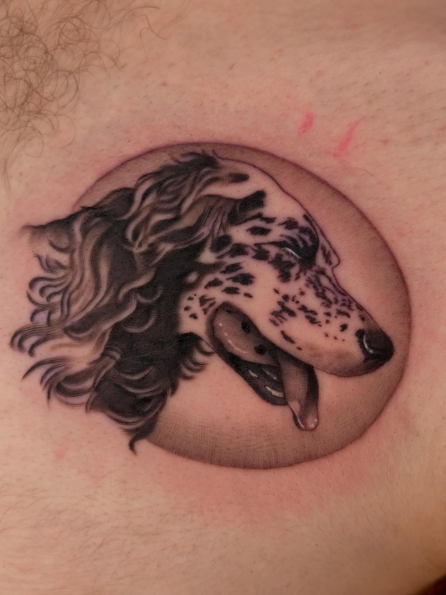 Dog realism tattoo on the chest by ✨ Mandy Foster - Bremerton Tattoo Artist✨, Bremerton, Washington
