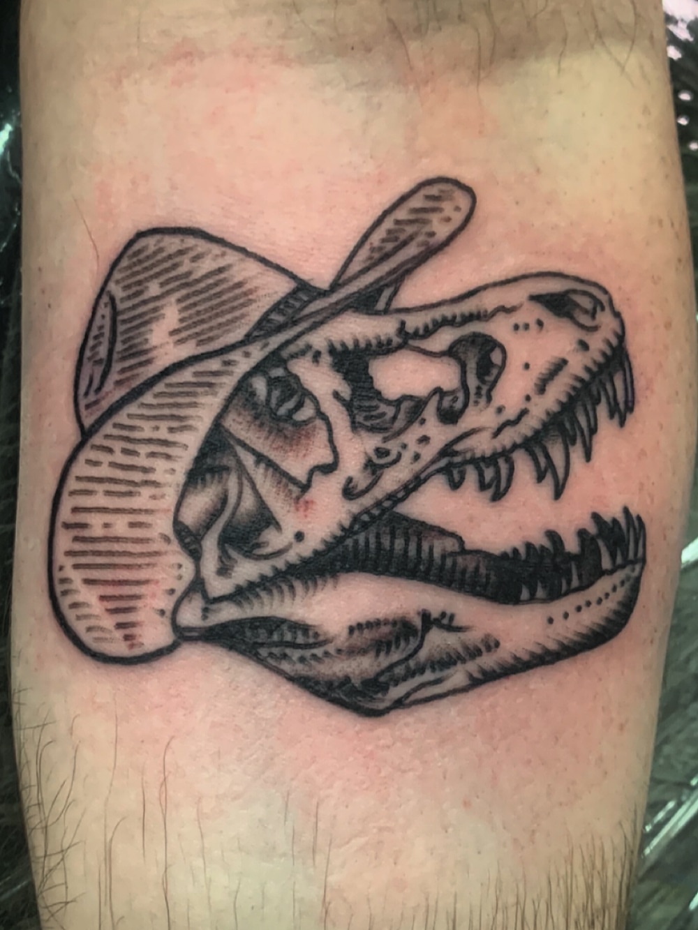 Dinosaur skull wearing cowboy hat black and grey tattoo on the forearm by World Famous Big Bob, Blackwood, New Jersey