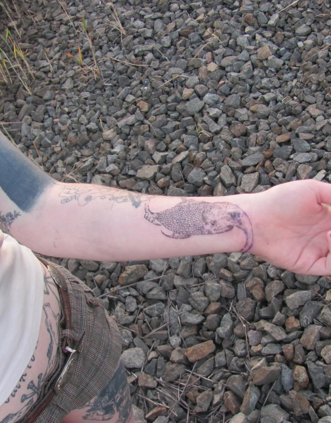Pangolin tattoo on the forearm by Sashka