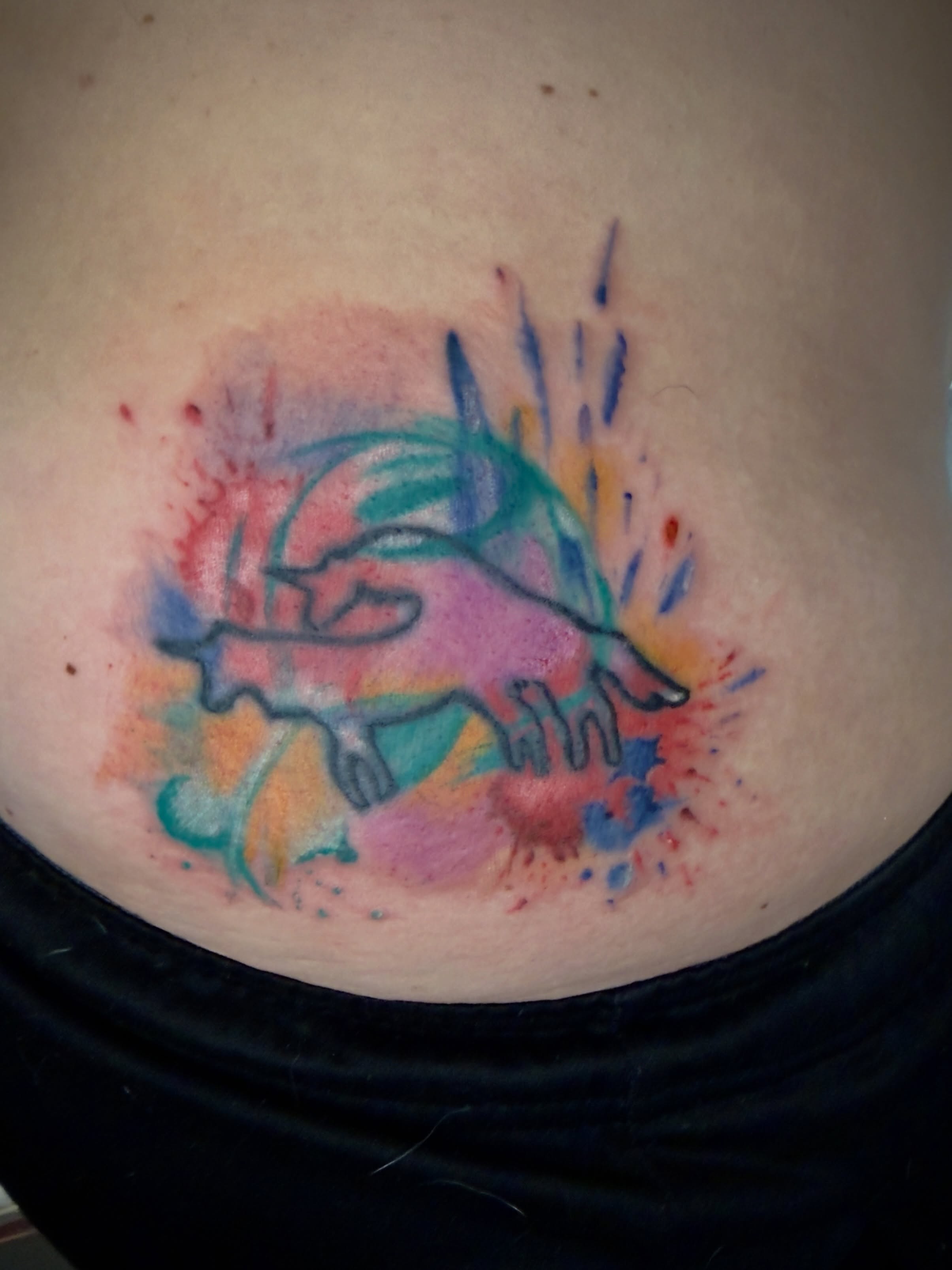 Dolphin watercolor tattoo on the torso by Charlotte (Luna), Seattle, Washington