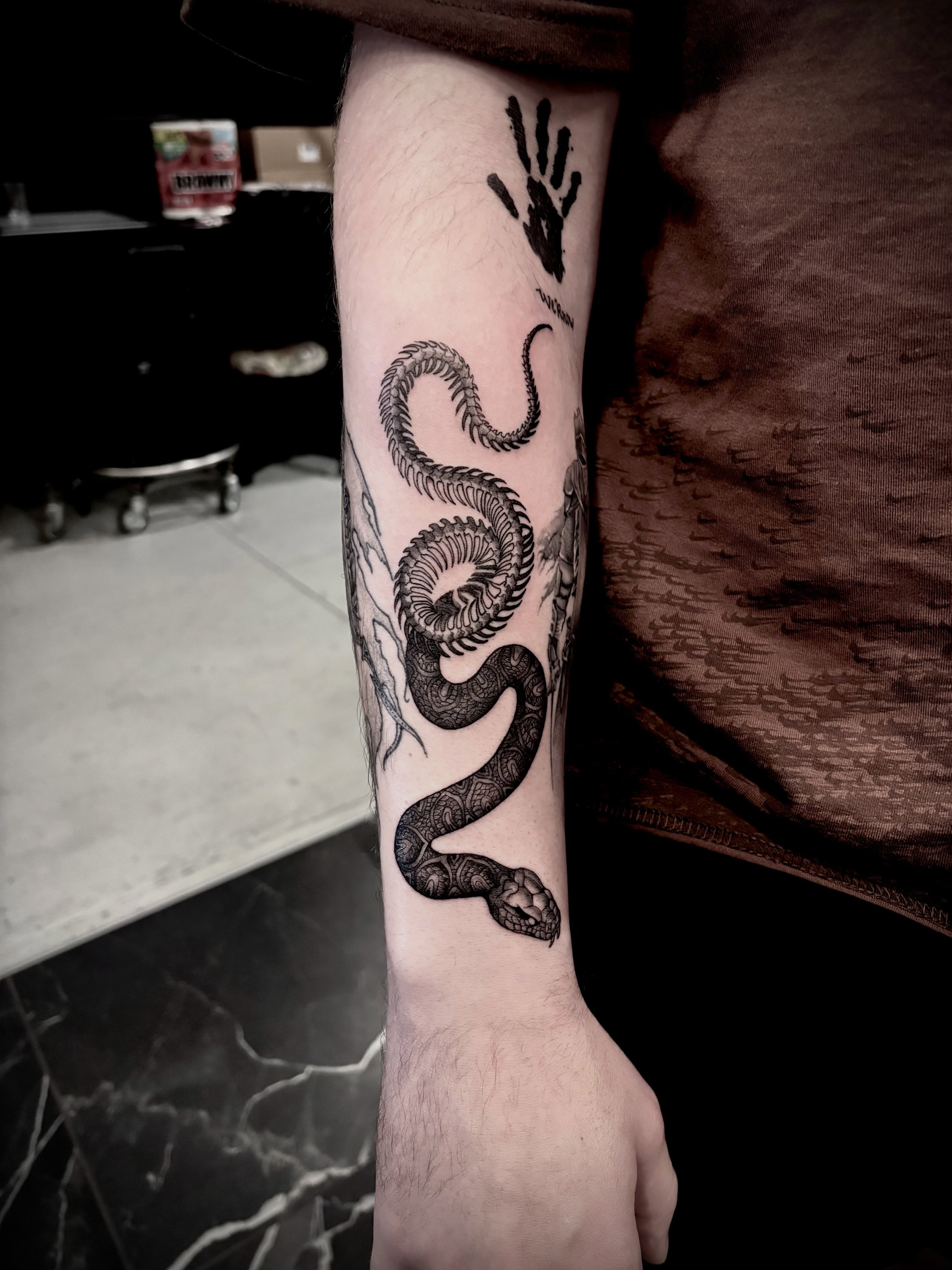 Snake black and grey tattoo on the forearm by Barbara Gonzalez