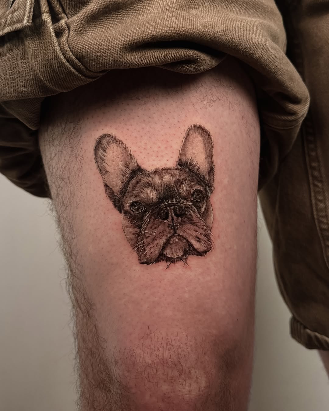 French bulldog realism tattoo on the thigh by Laura Gomez Tattoos