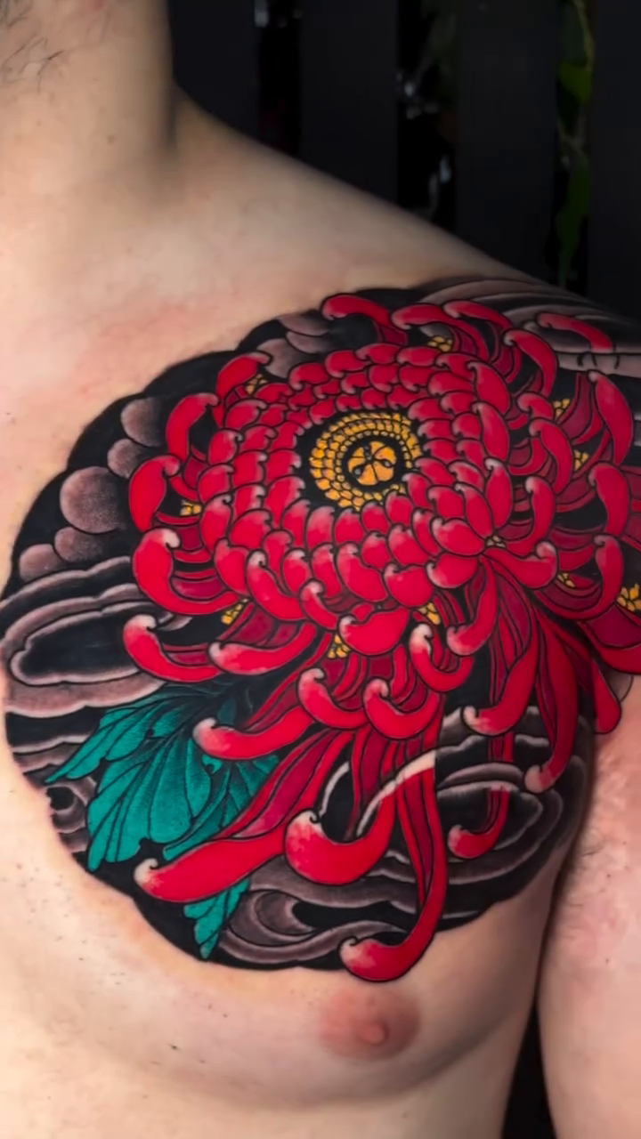 Chrysanthemum chest piece Japanese tattoo on the chest by Alezumie