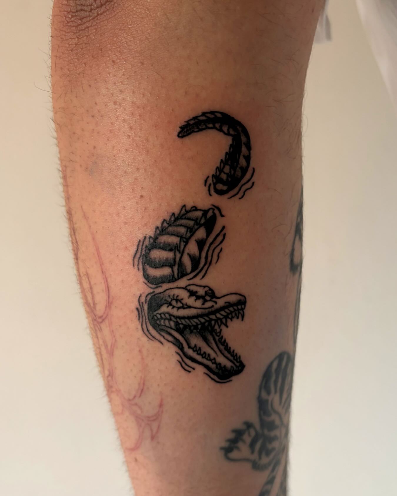 Tattoo by @cupidstunts__ — black_and_grey