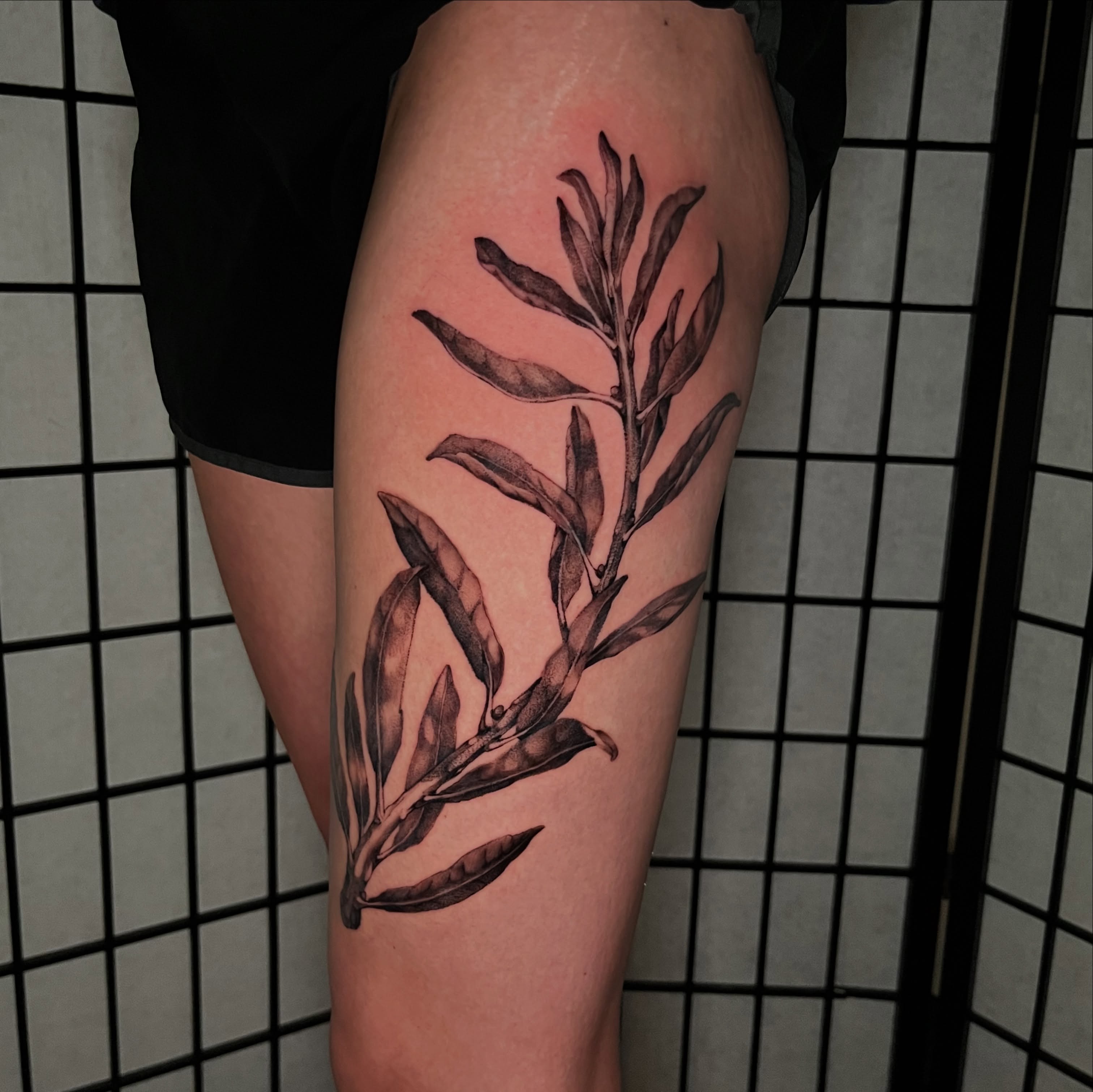 Olive branch black and grey tattoo on the thigh by Mant