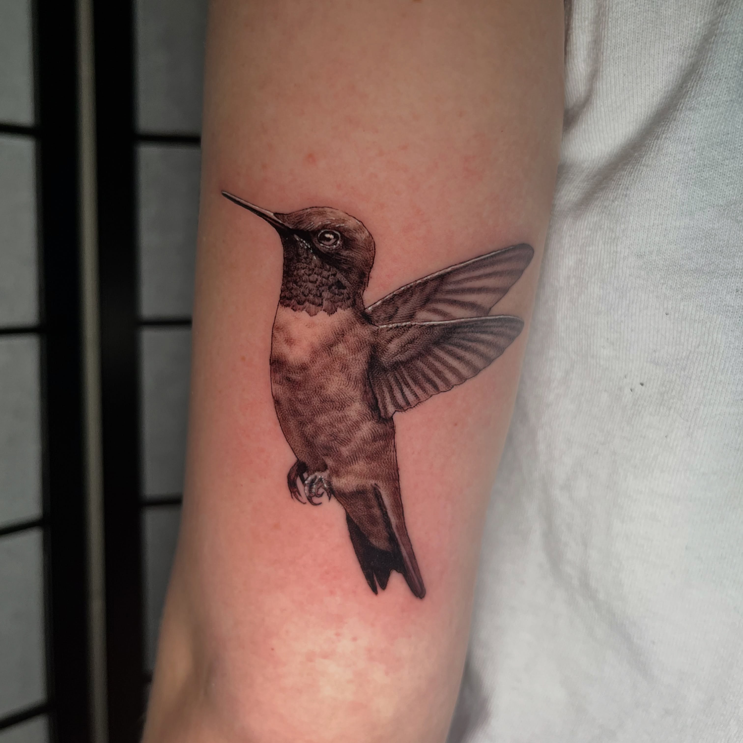 Hummingbird realism tattoo on the forearm by Mant