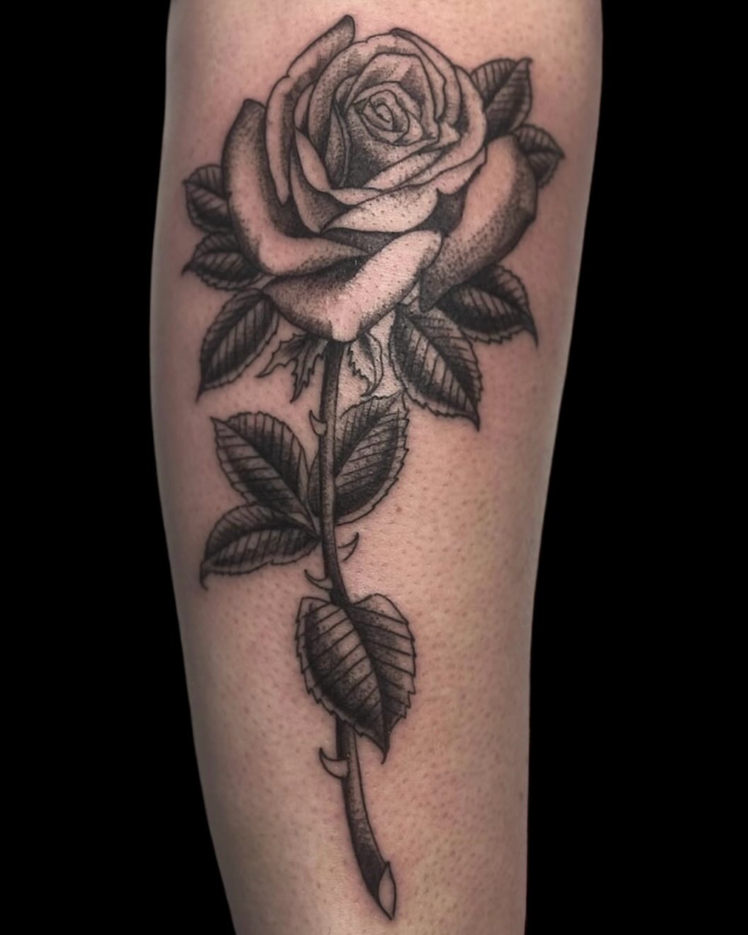 Rose dotwork tattoo on the forearm by Cody Glenn