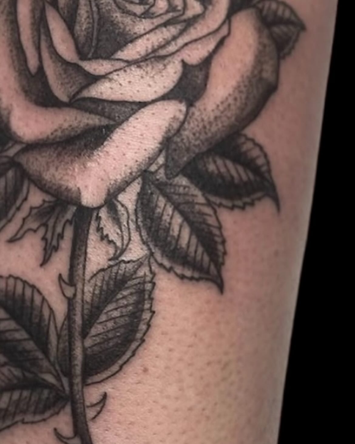 Rose dotwork tattoo on the forearm by Cody Glenn