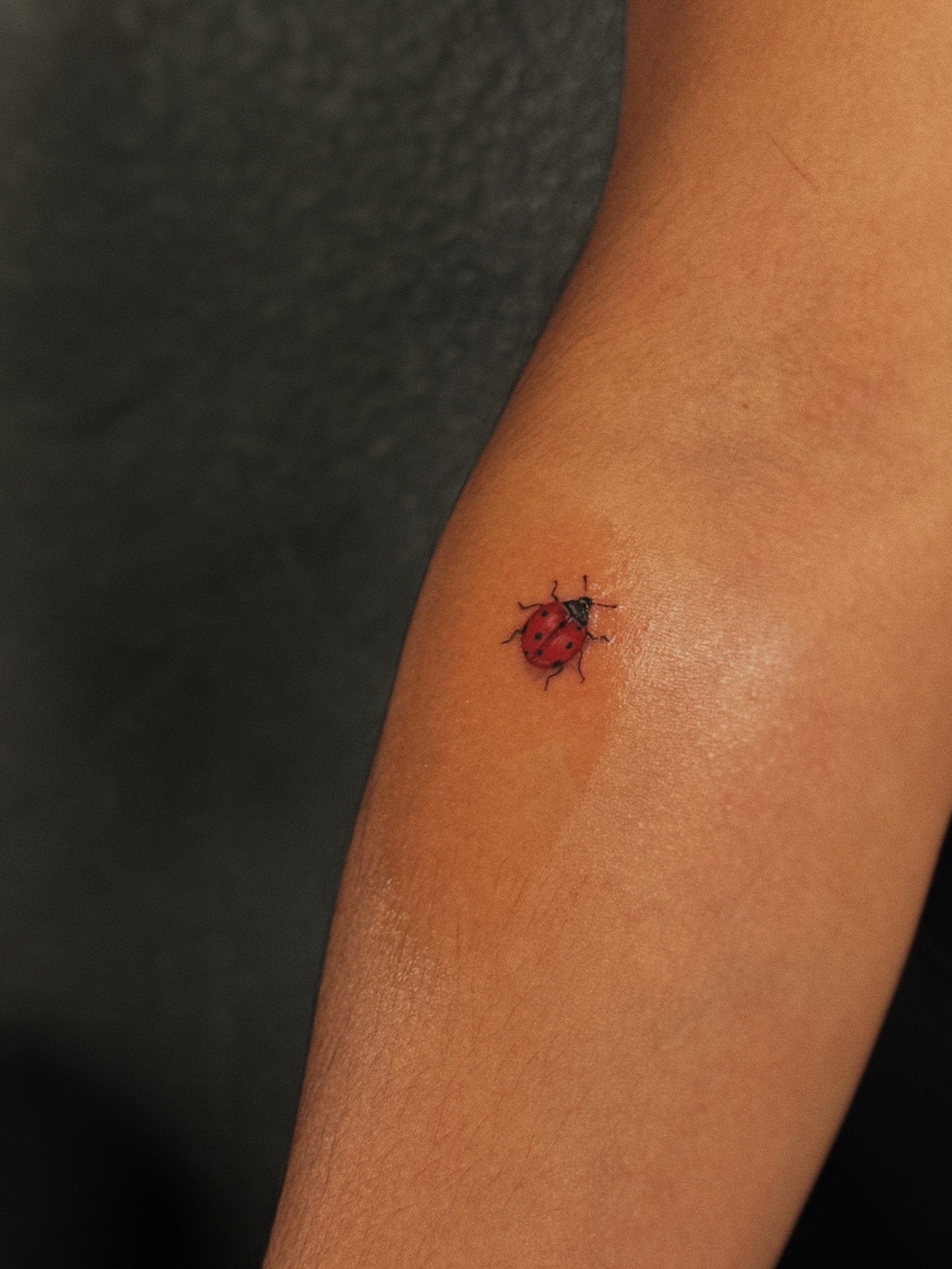 Ladybug dotwork tattoo on the forearm by Luisa Duarte
