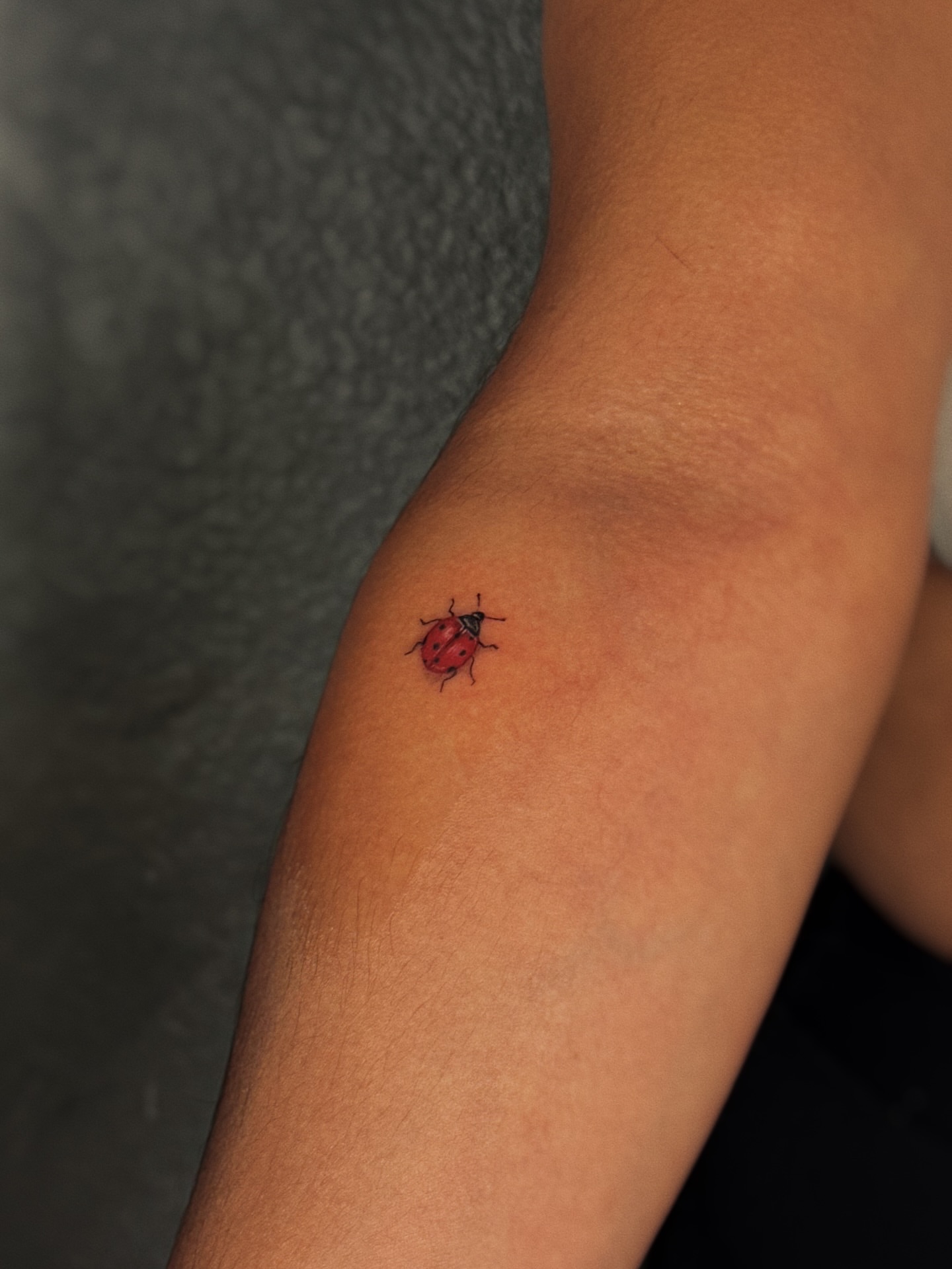 Ladybug dotwork tattoo on the forearm by Luisa Duarte