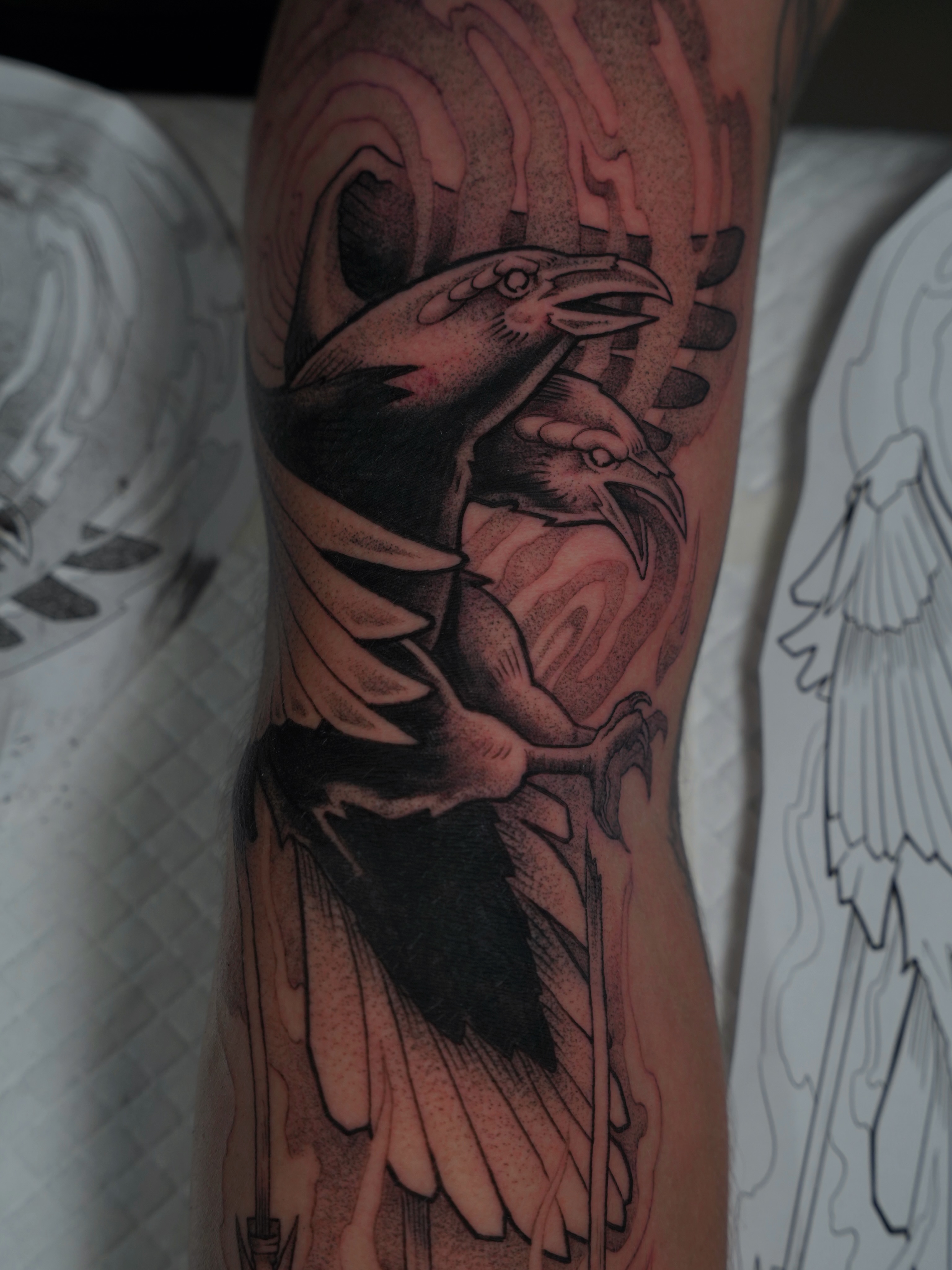 Raven black and grey tattoo on the forearm by Derek Foferek, Charlotte, North Carolina