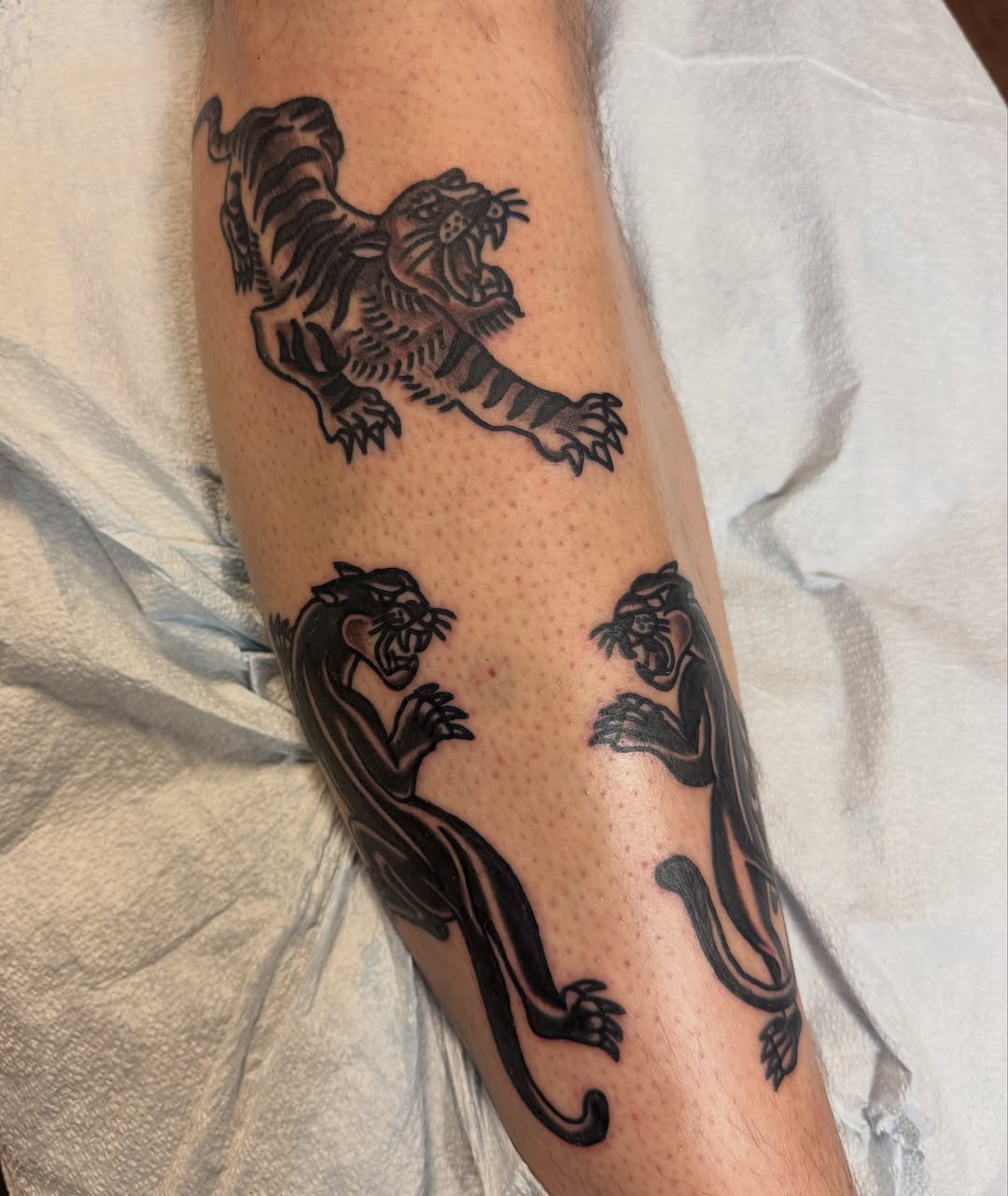 Panthers black and grey tattoo on the forearm by @kevingaretz, Jersey City, New Jersey