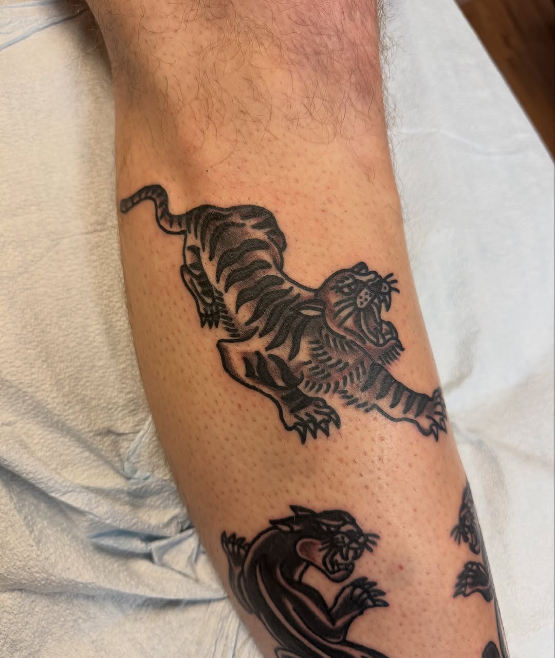 Tiger American traditional tattoo on the forearm by @kevingaretz, Jersey City, New Jersey