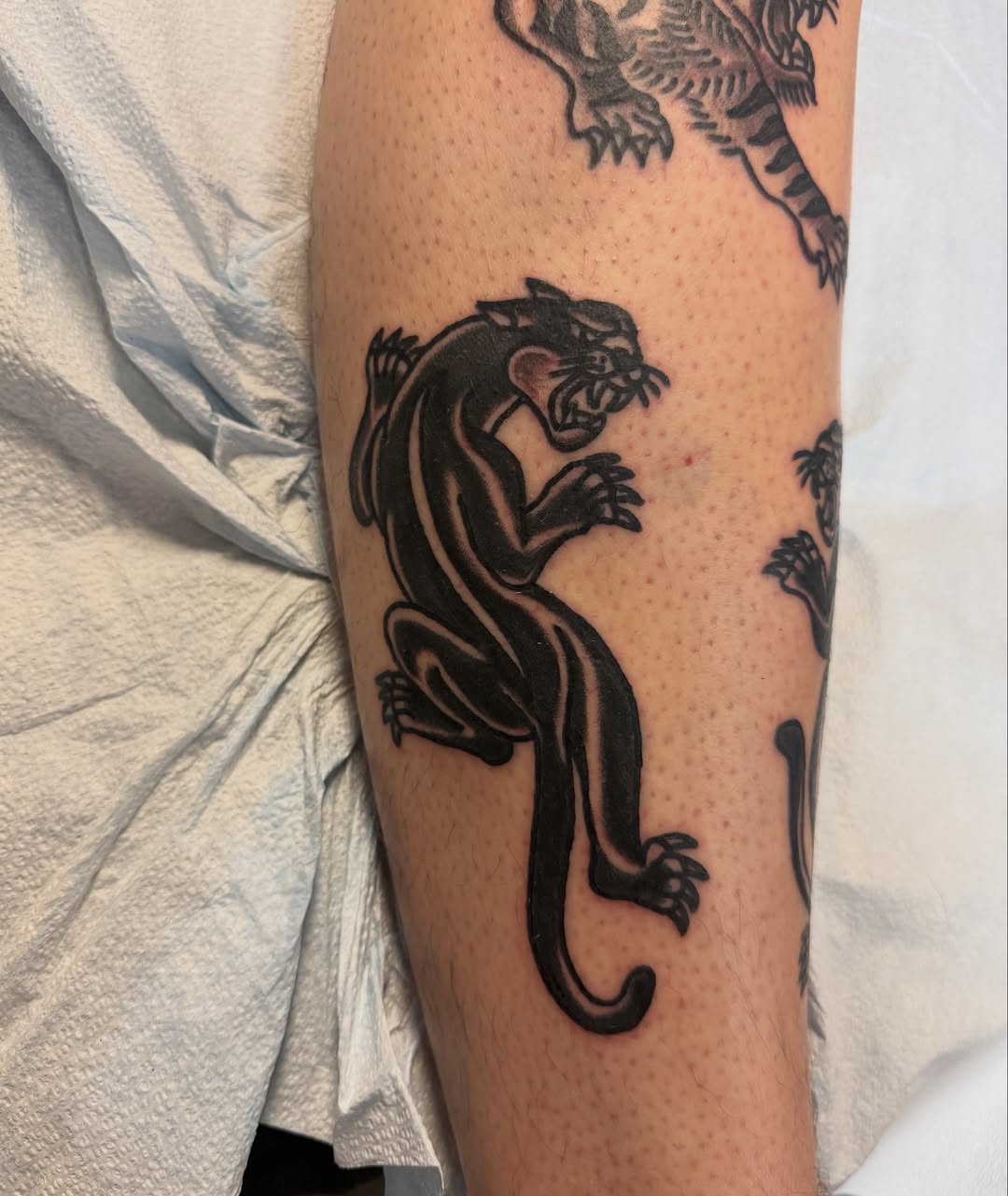 Panther black and grey tattoo on the forearm by @kevingaretz, Jersey City, New Jersey