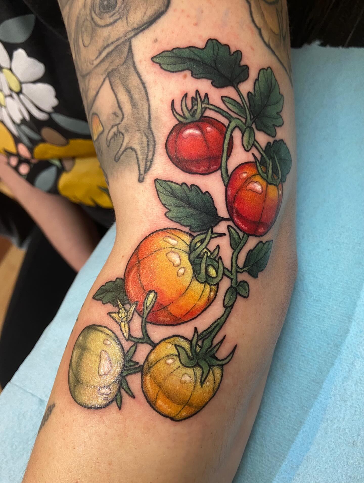 Tomatoes realism tattoo on the forearm by Dawn Carr, Richmond, Virginia