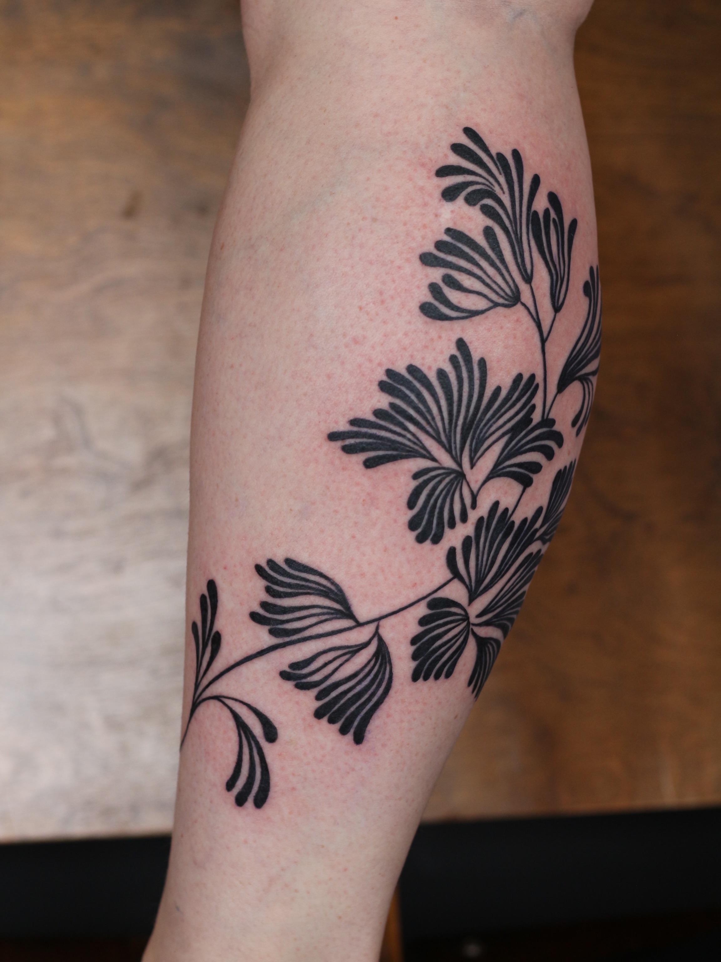 Fern leaves black and grey tattoo on the forearm by Stephany Victorine
