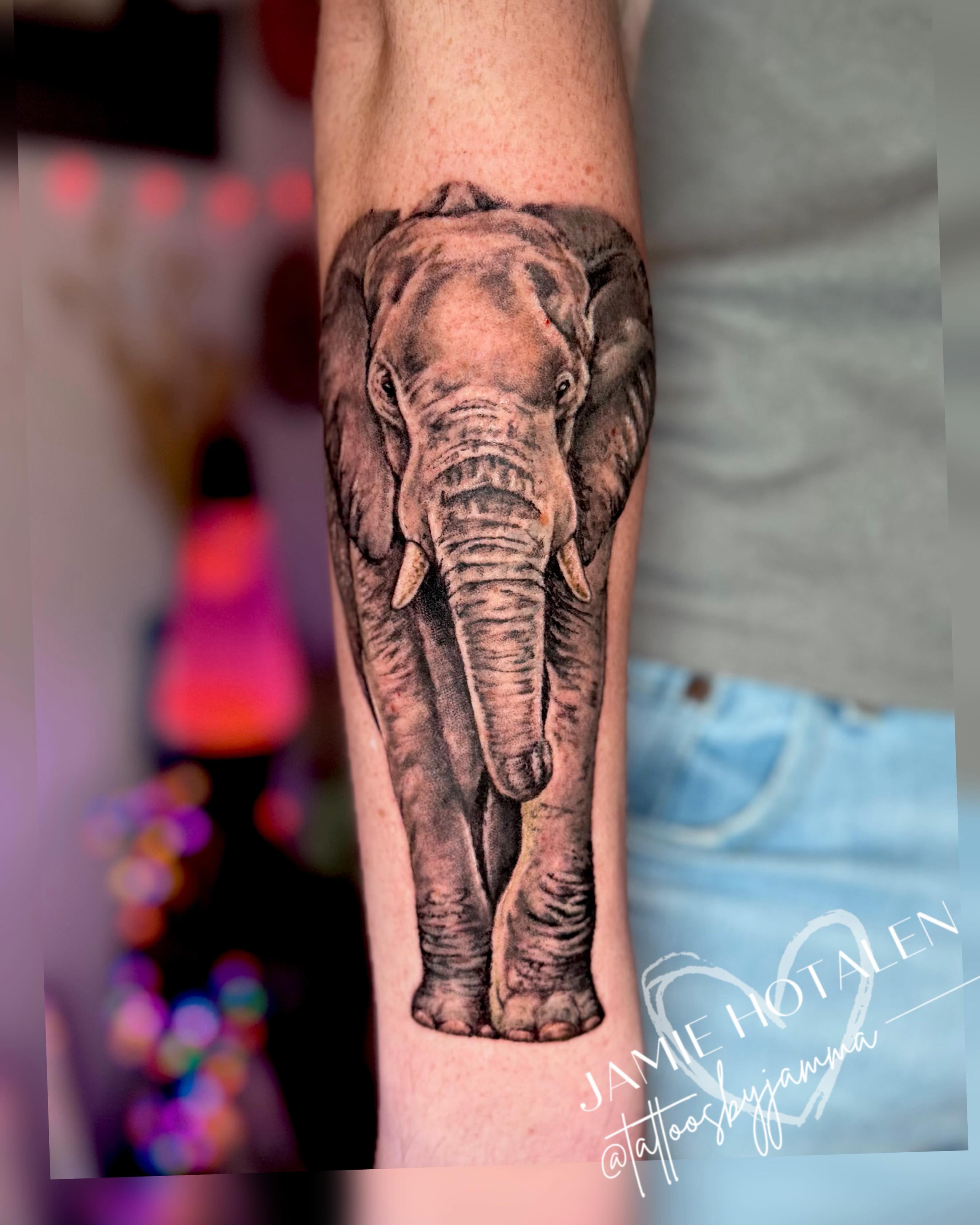 Elephant realism tattoo on the forearm by πππππππ π½π² ππππππ π°πππππ π πΉππππ π·ππππππβ¨