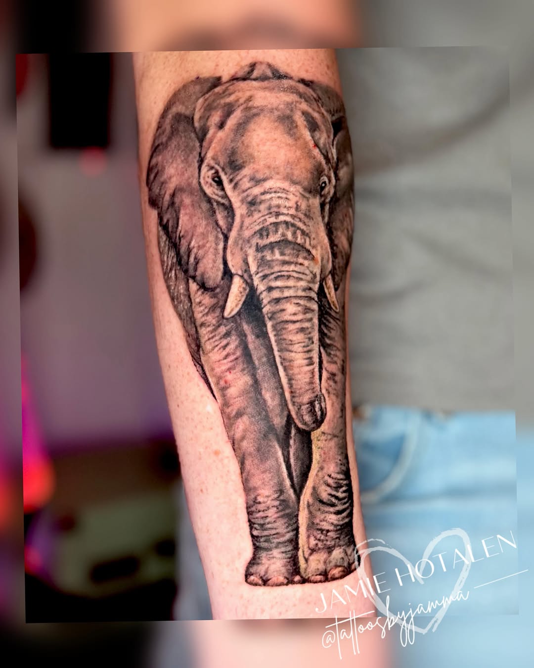 Elephant realism tattoo on the forearm by πππππππ π½π² ππππππ π°πππππ π πΉππππ π·ππππππβ¨