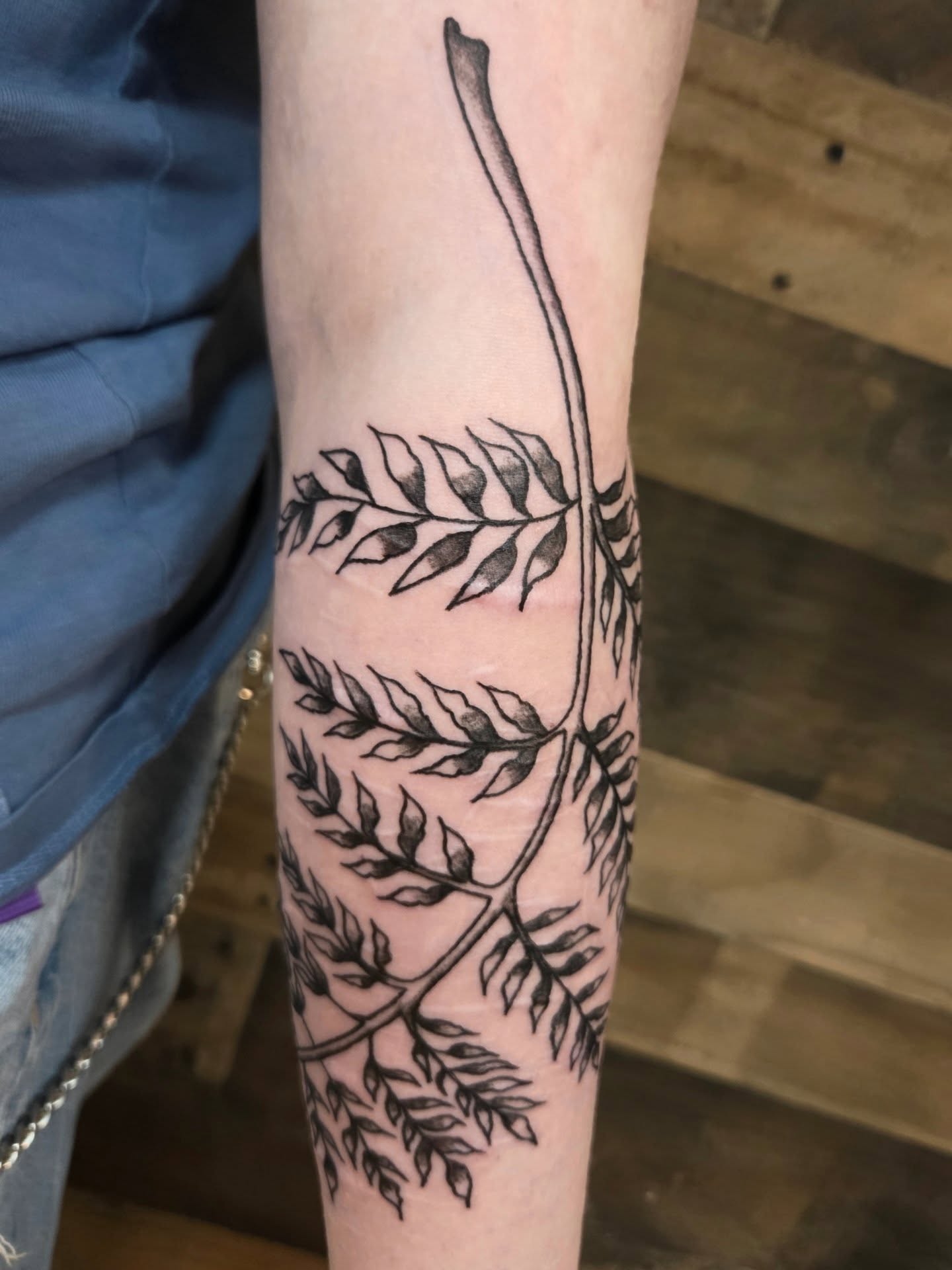Fern branch black and grey tattoo on the forearm by Courtney, Lakewood, Ohio