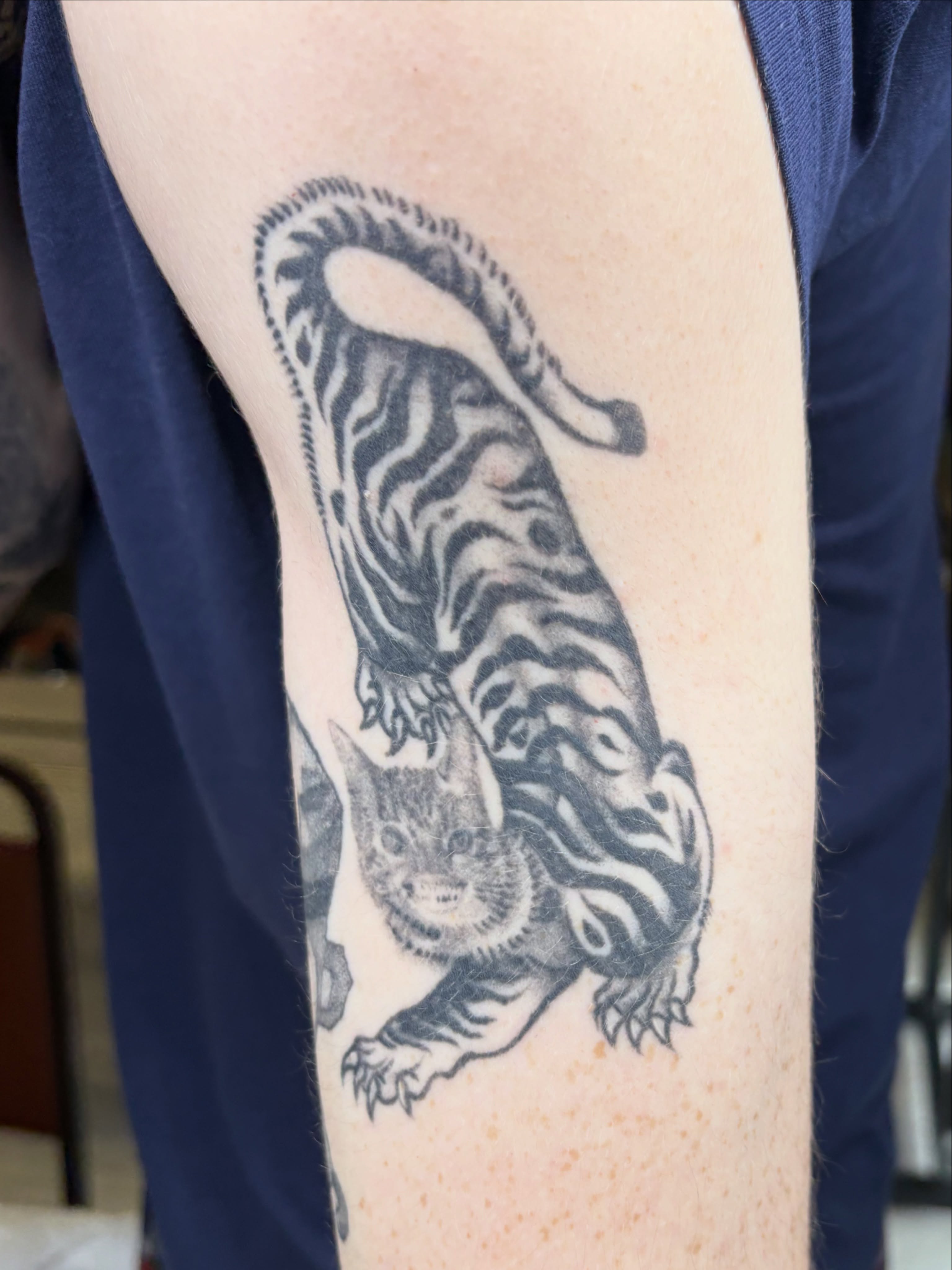 Cat and tiger realism tattoo on the forearm by ★ Val! ★ Tattoo Artist