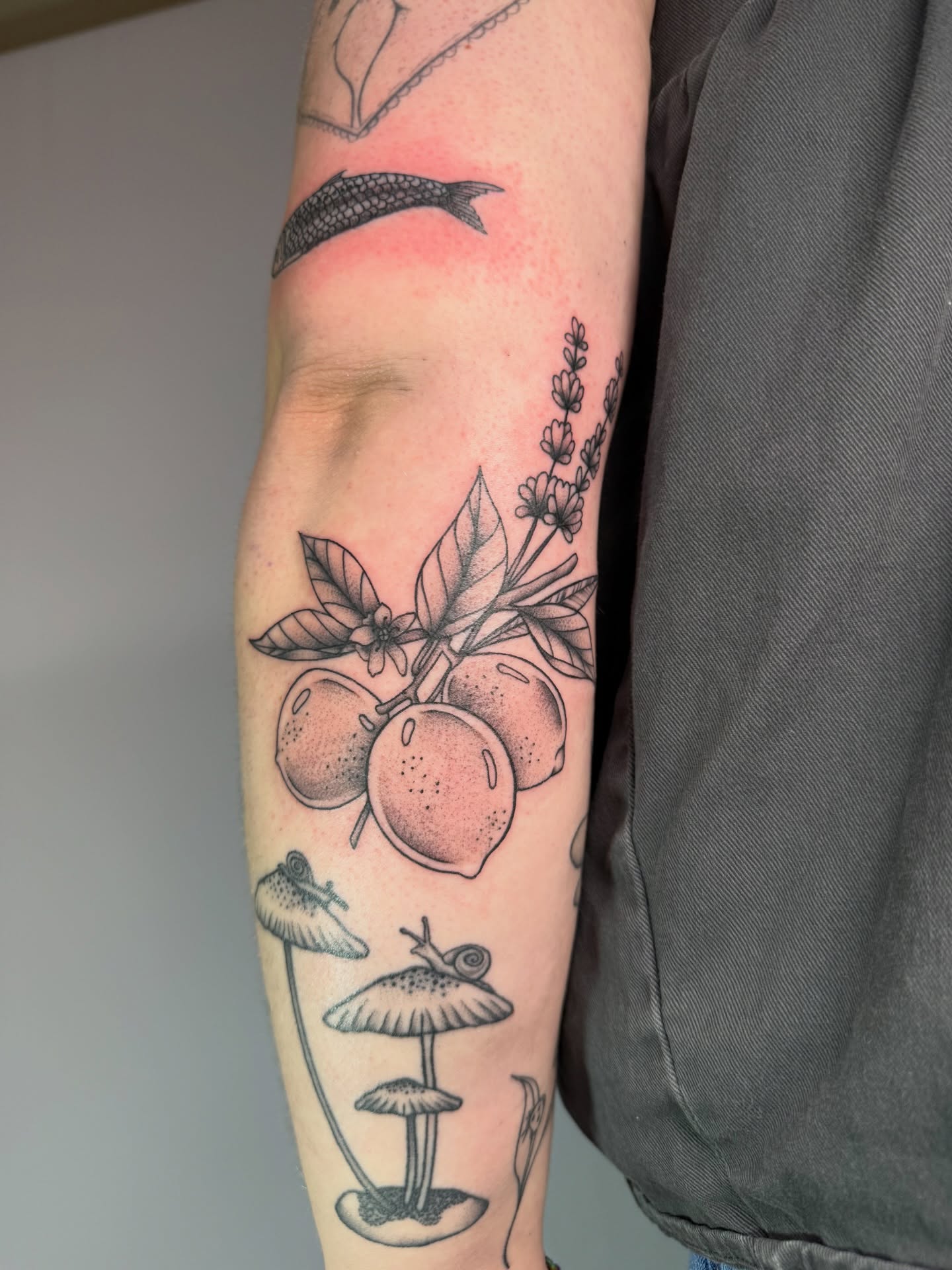 Fruit and mushrooms realism tattoo on the forearm by Jenna Nicole