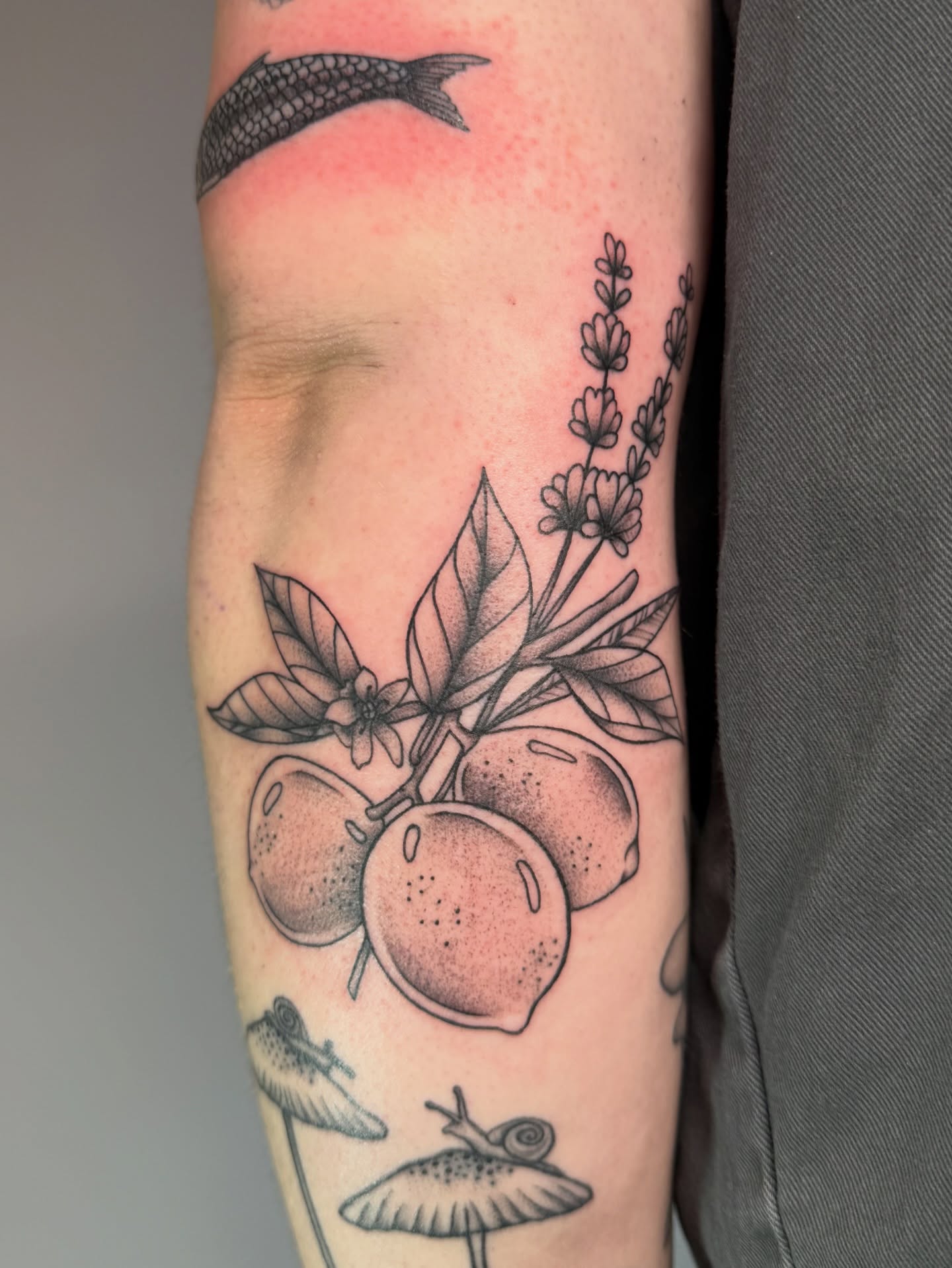 Fruit and lavender black and grey tattoo on the forearm by Jenna Nicole