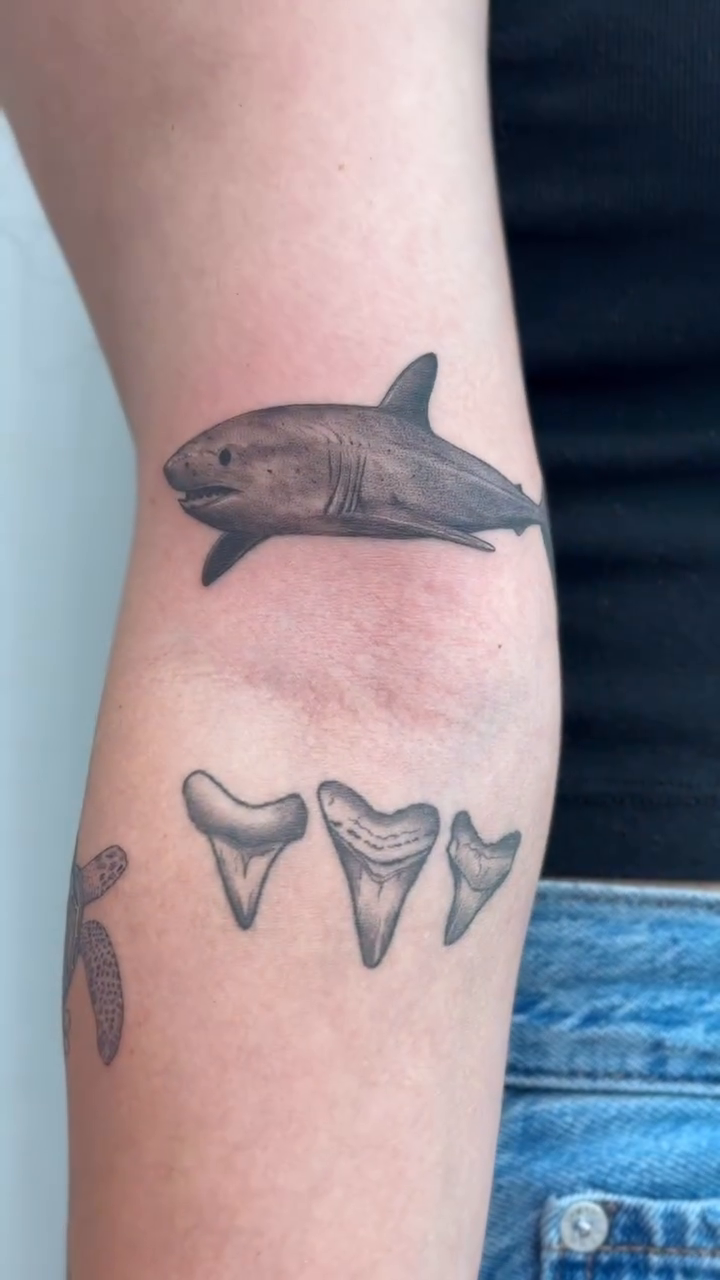 Oceanic creatures realism tattoo by Jasmine, Lynnwood, Washington