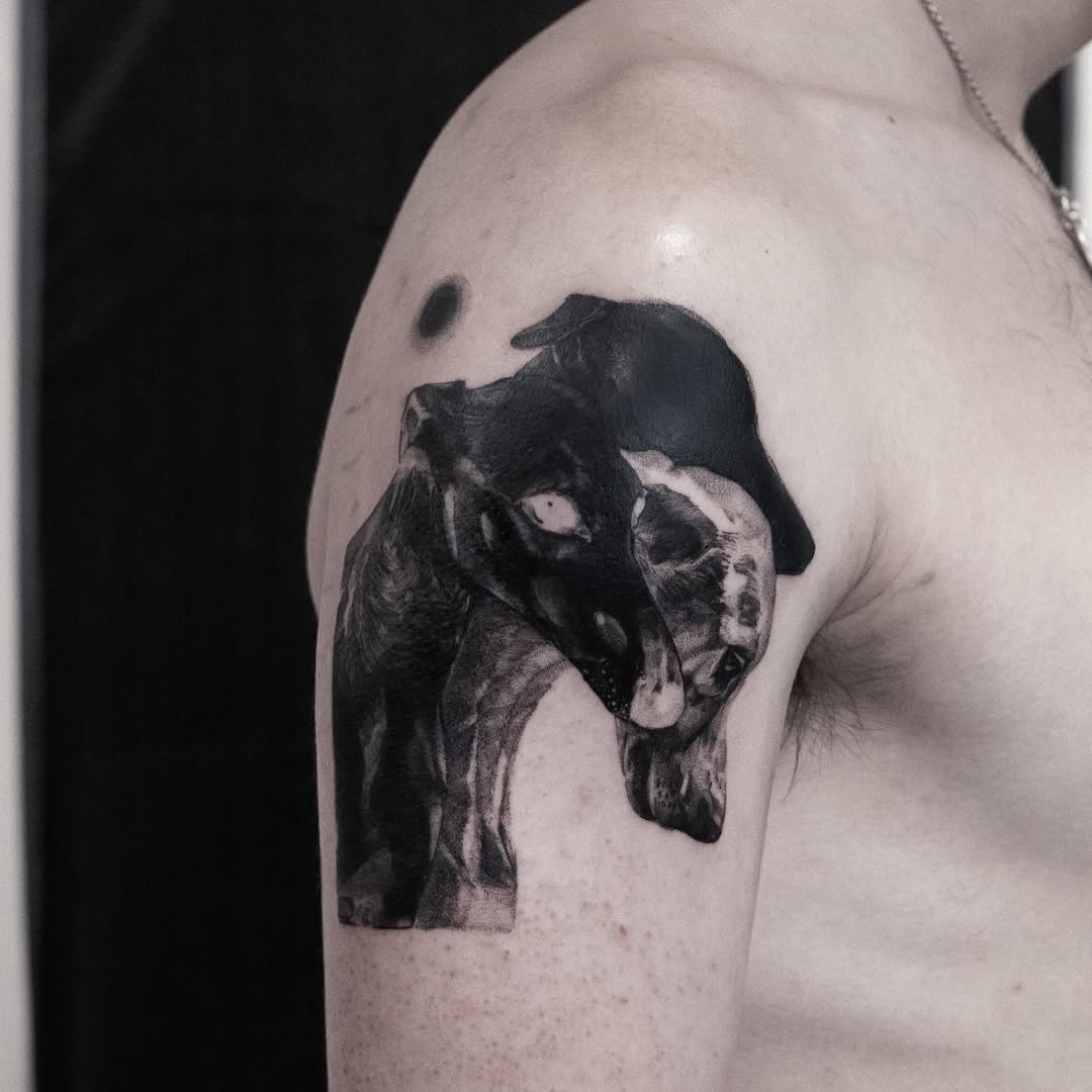 Wolf and skull realism tattoo on the shoulder by Mané, Portland, Oregon