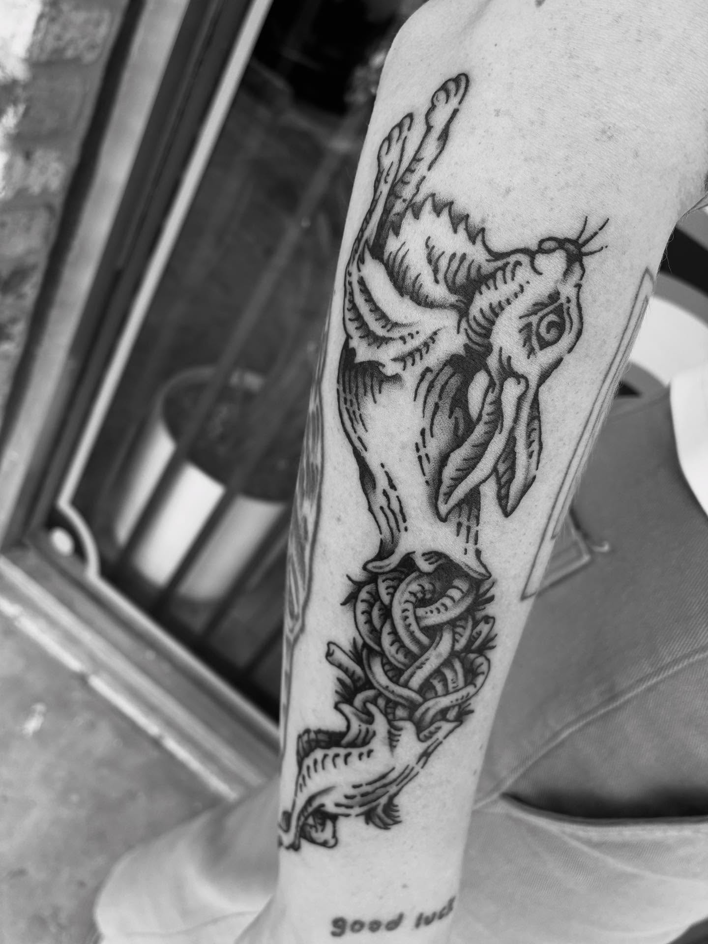 Cat and worms black and grey tattoo on the forearm by Zachary R Bobkoff