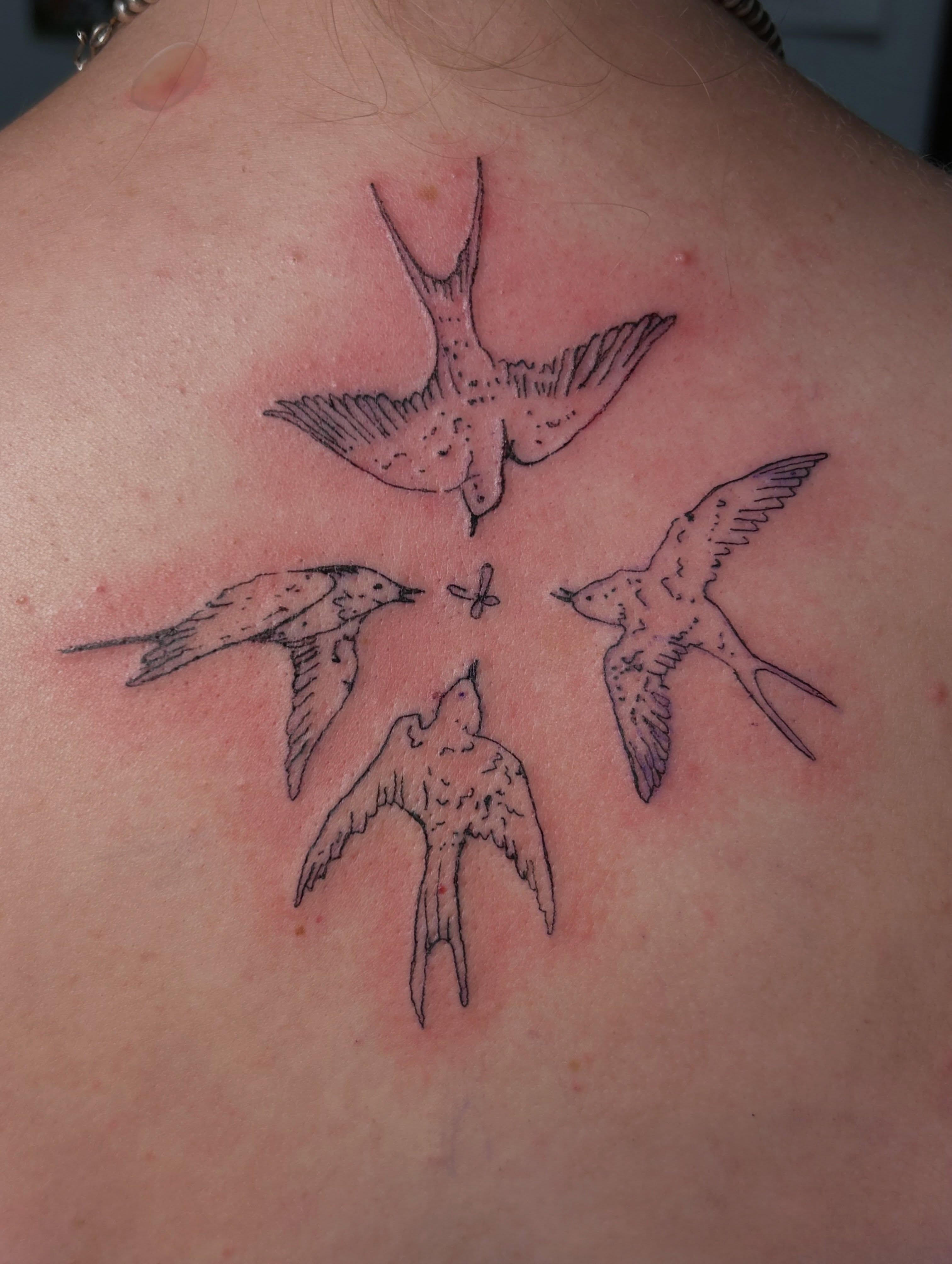 Swallows dotwork tattoo on the back by Mattie Robinson