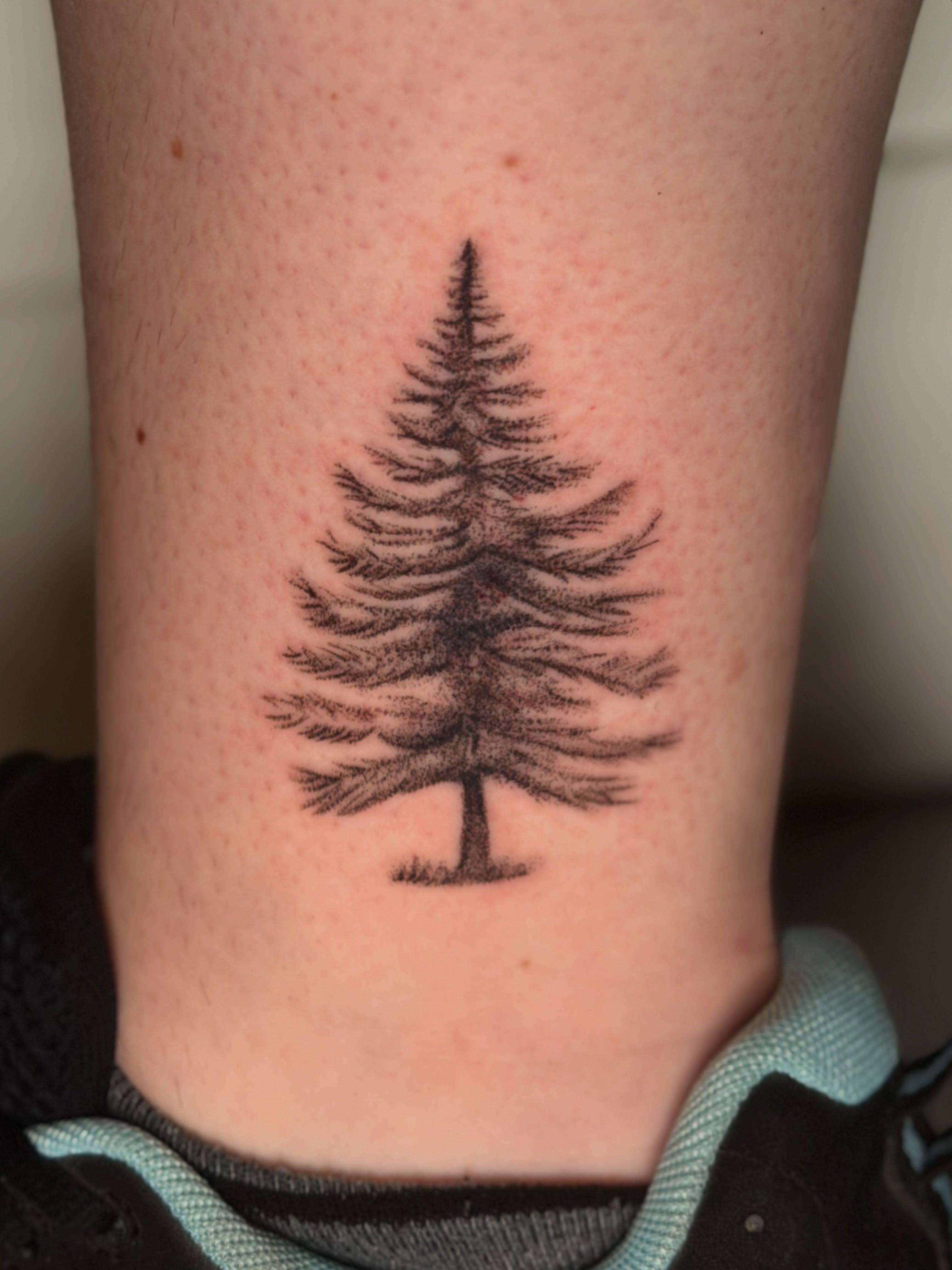 Pine tree black and grey tattoo on the forearm by Pedro Sinhorini, Portland, Oregon