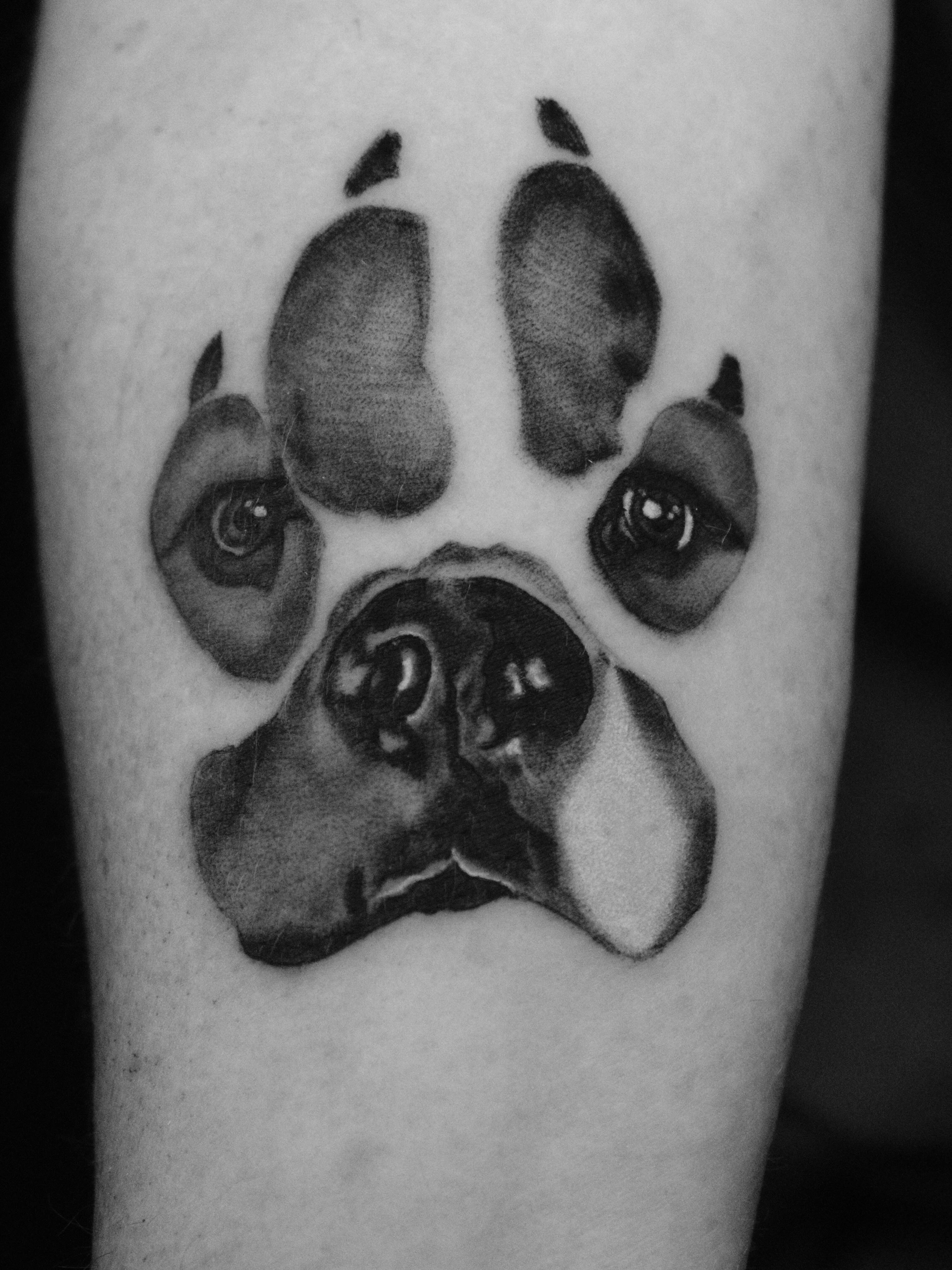 Pug realism tattoo on the forearm by Suzanne B