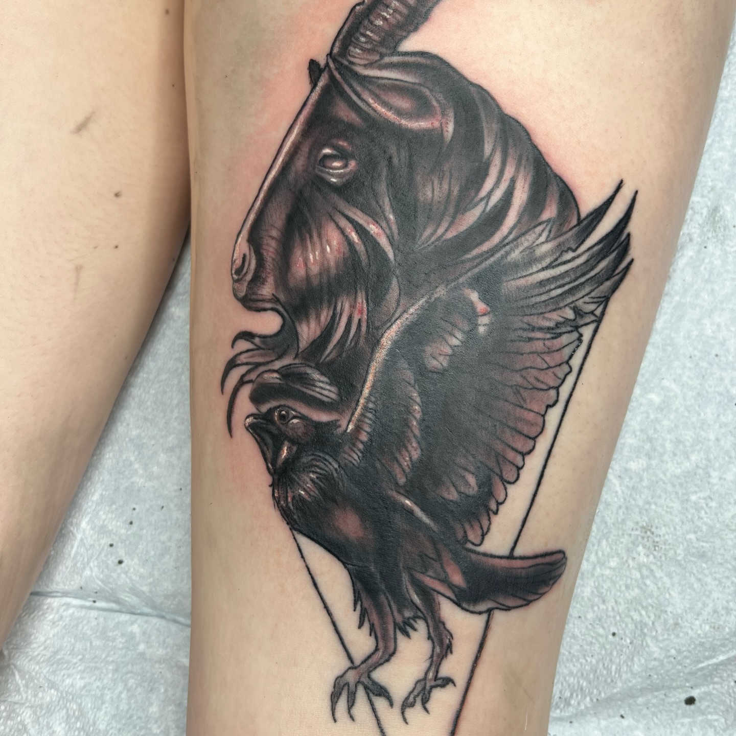 Goat and crow realism tattoo on the thigh by Misha Dumois, Seattle, Washington