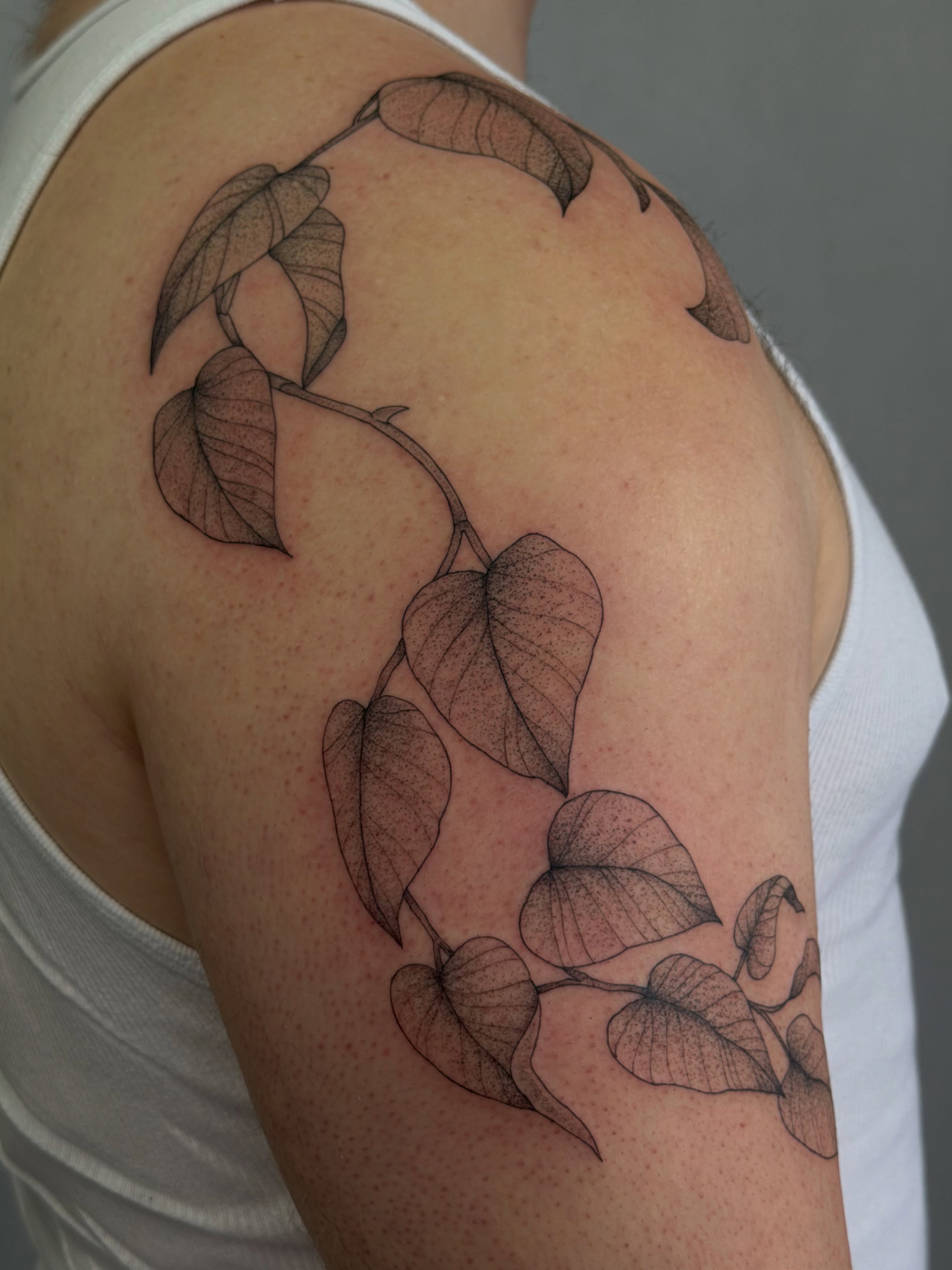 Leaf vine dotwork tattoo on the shoulder by Henesee Parfitt
