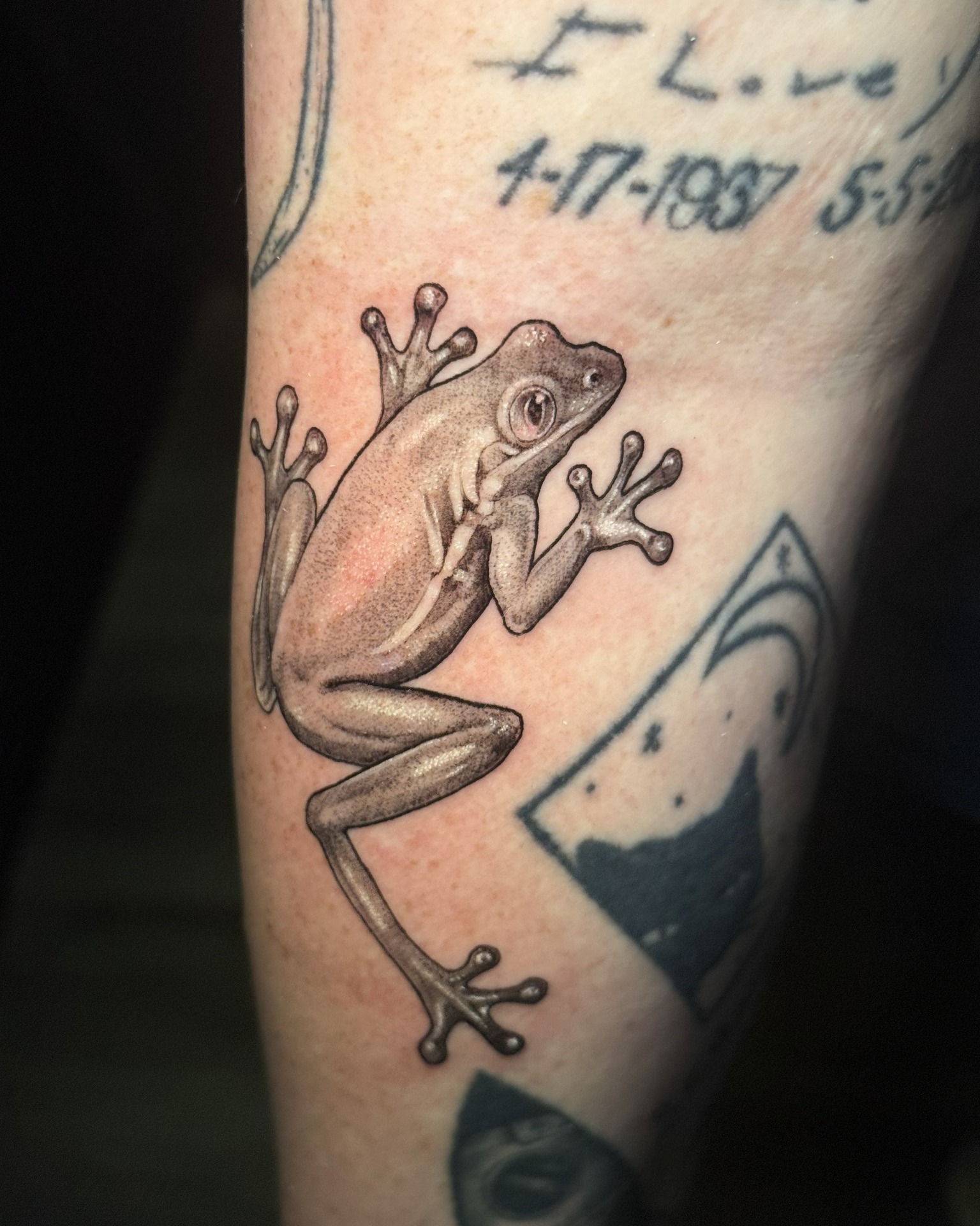 Tattoo by @tattoos_by_cat — realism