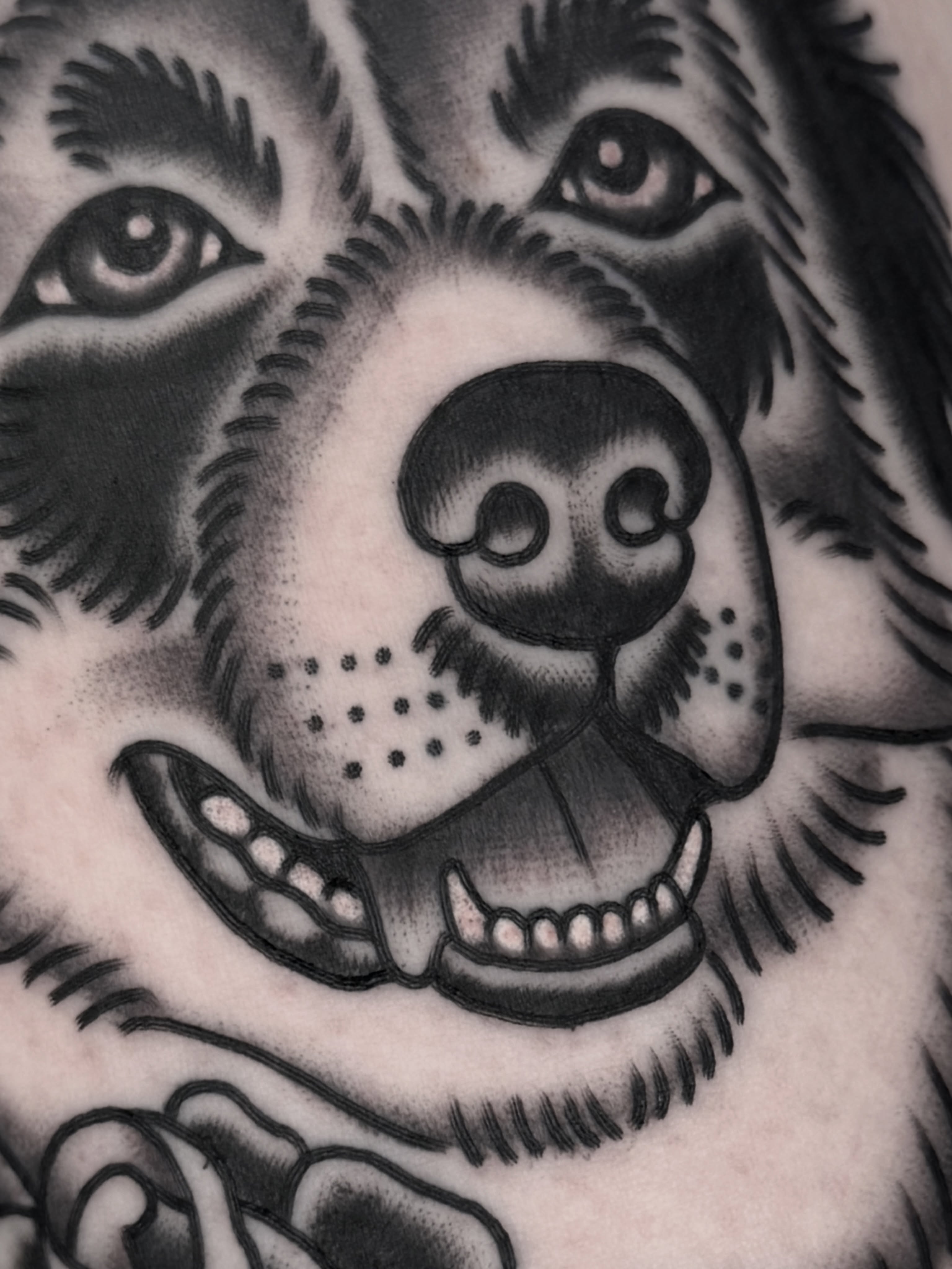 Dog American traditional tattoo on the forearm by Cory Craft