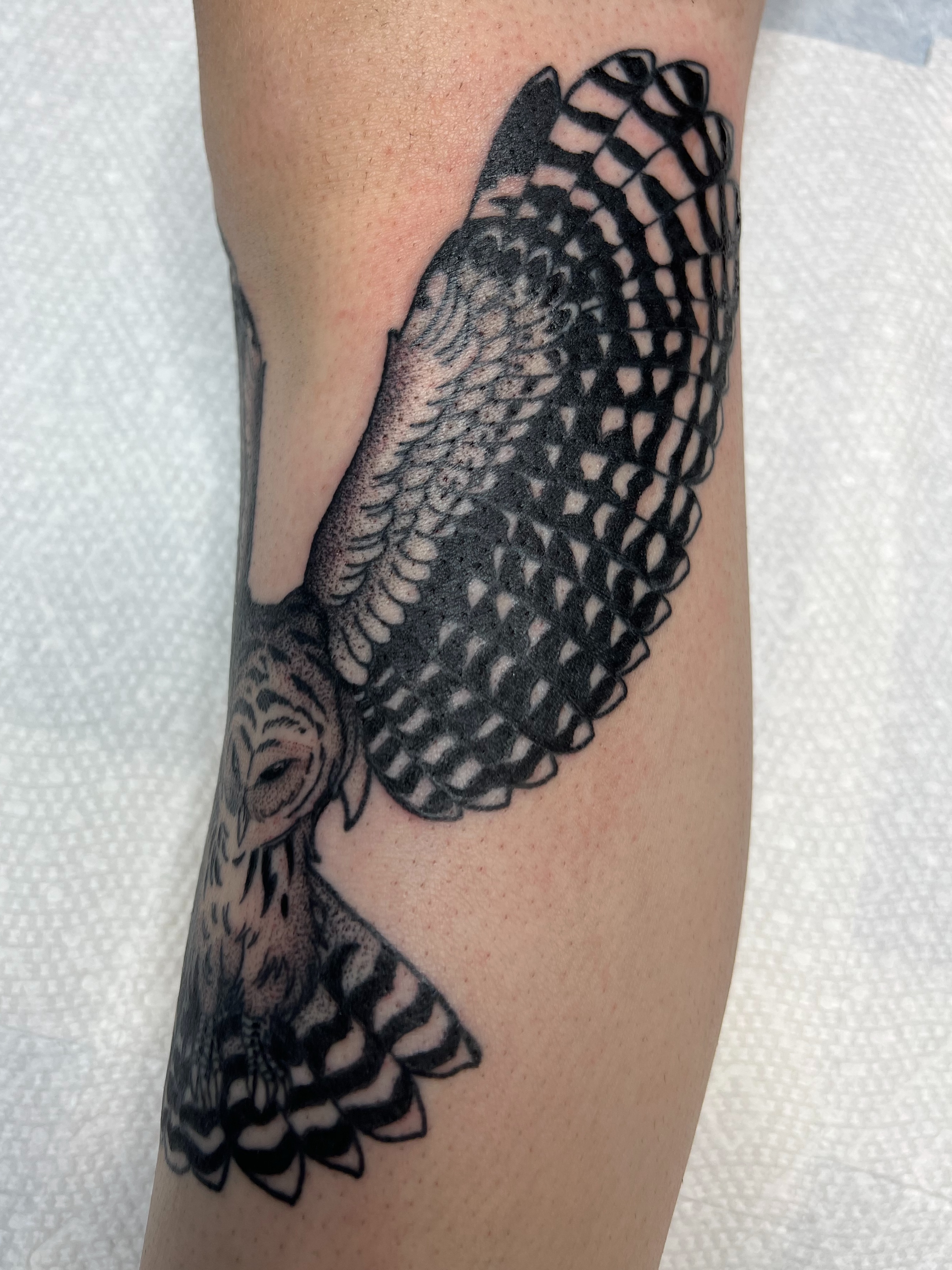 Owl black and grey tattoo on the forearm by Nathan Garcia
