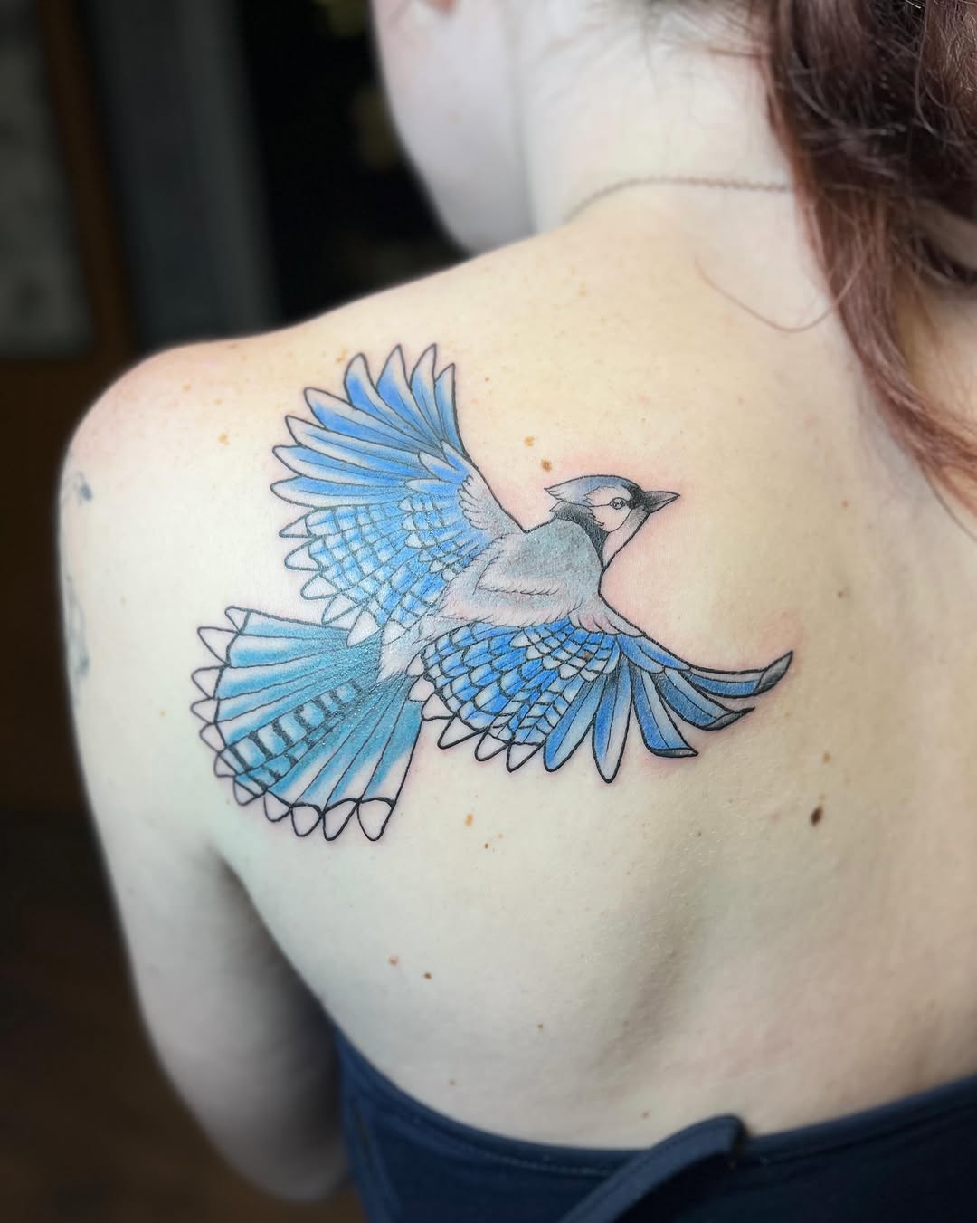 Blue jay in flight fine line tattoo on the shoulder by Bri ⚡️✨