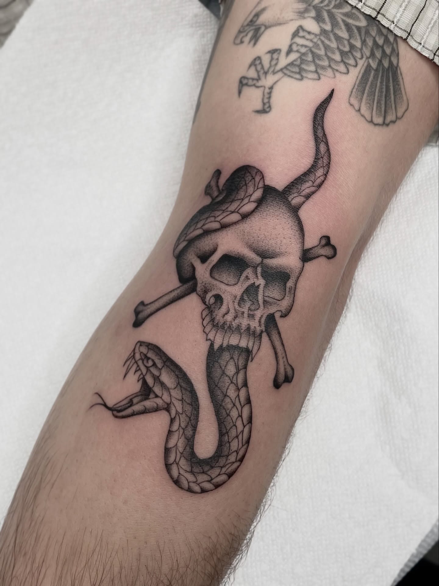Skull and snake dotwork tattoo on the forearm by Dakota Jenner