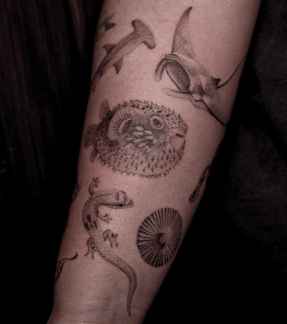Marine life dotwork tattoo on the forearm by ๐๐, Tacoma, Washington
